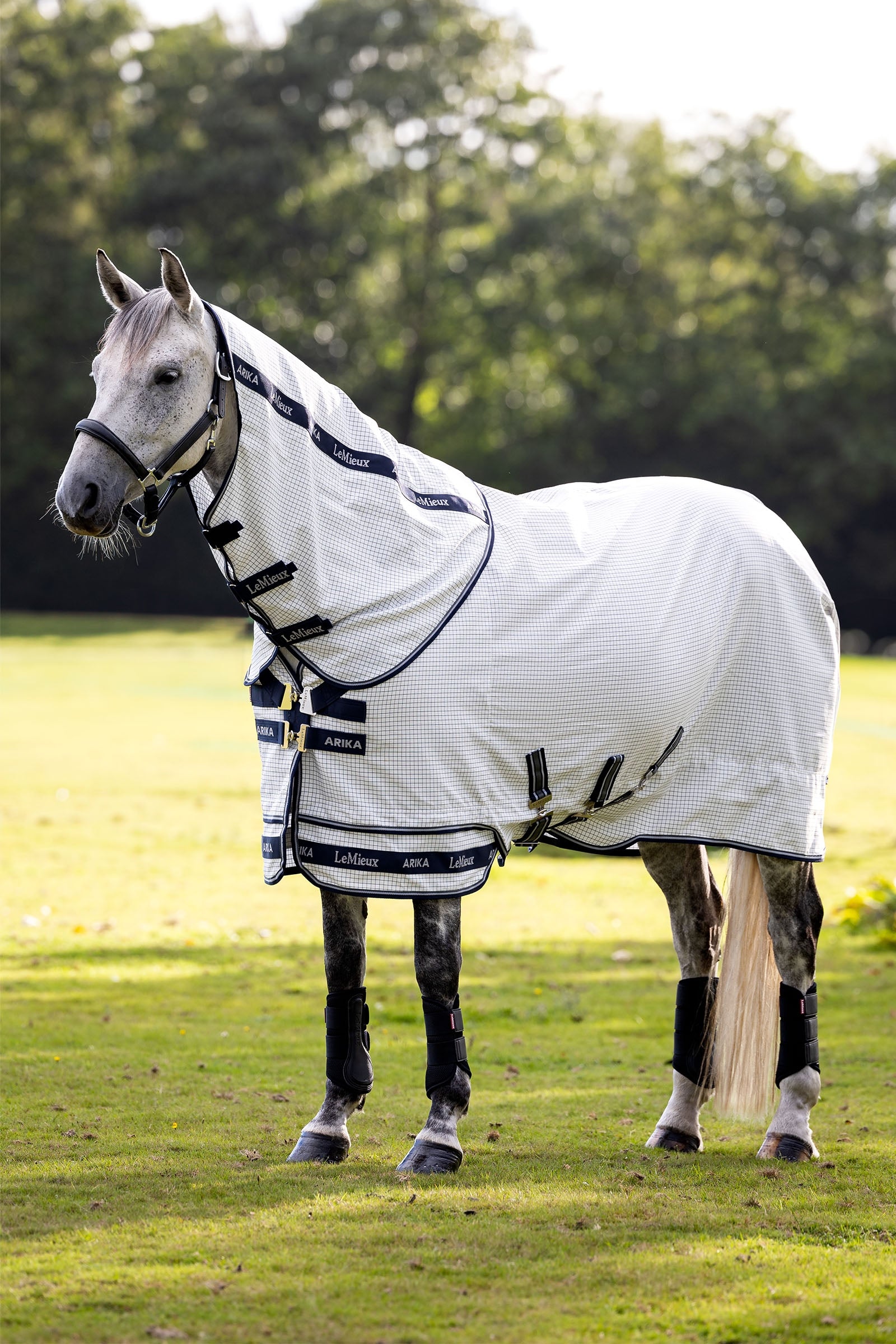 LeMieux Arika 450D Turnout Rug With Detachable Neck, 0g Horse Rugs