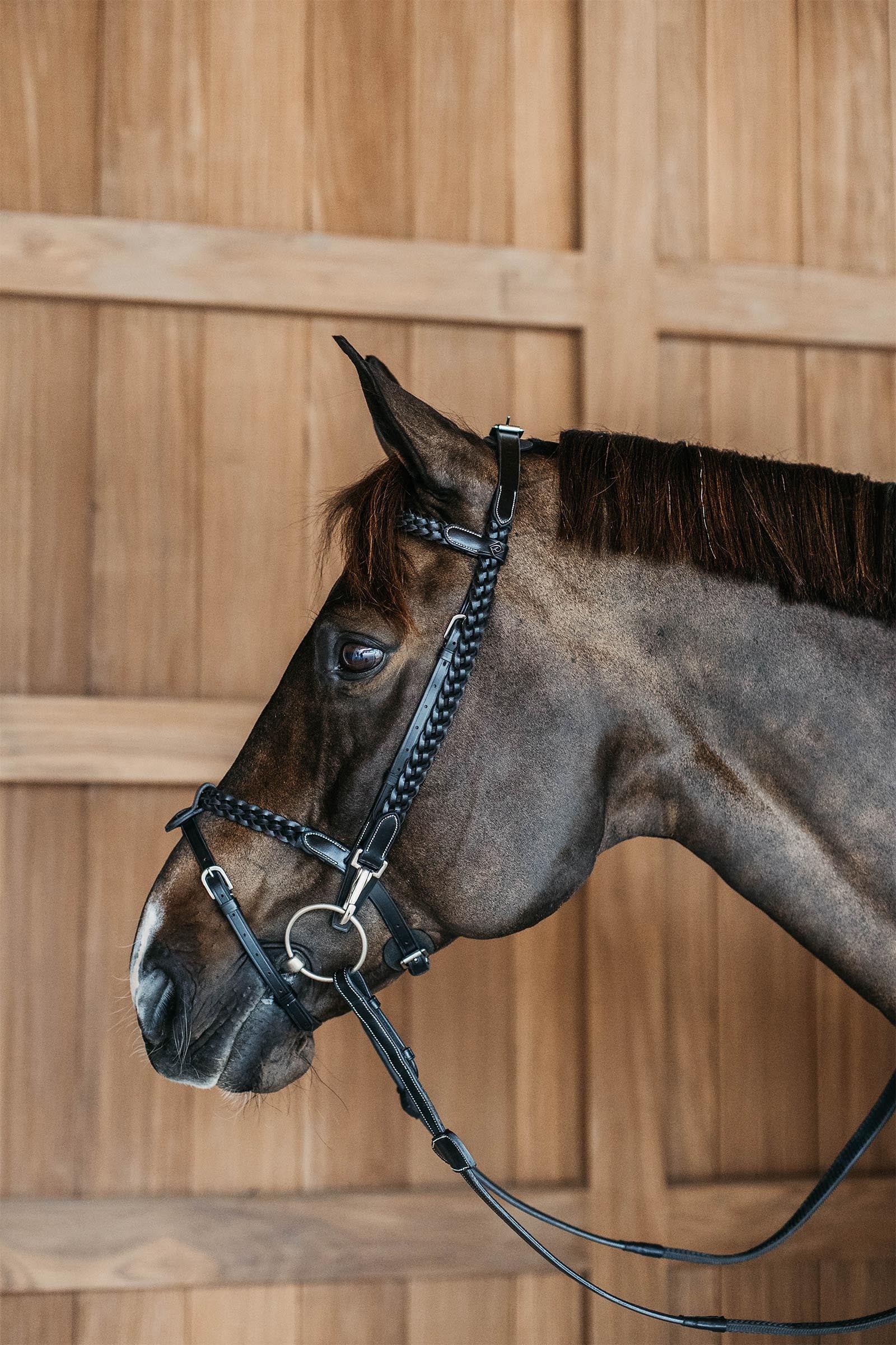 Dy'on Working Plaited Training Bridle  Bridles & Reins