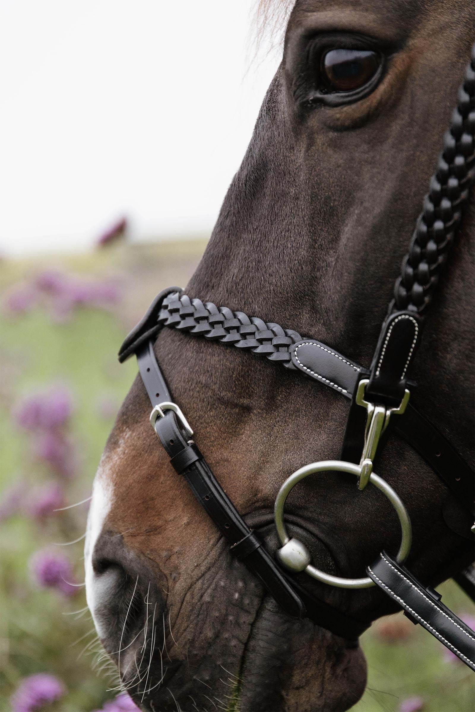 Dy'on Working Plaited Training Bridle  Bridles & Reins