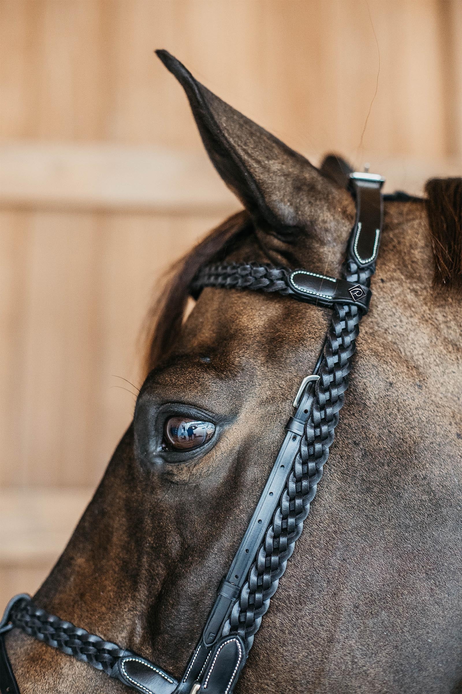 Dy'on Working Plaited Training Bridle  Bridles & Reins