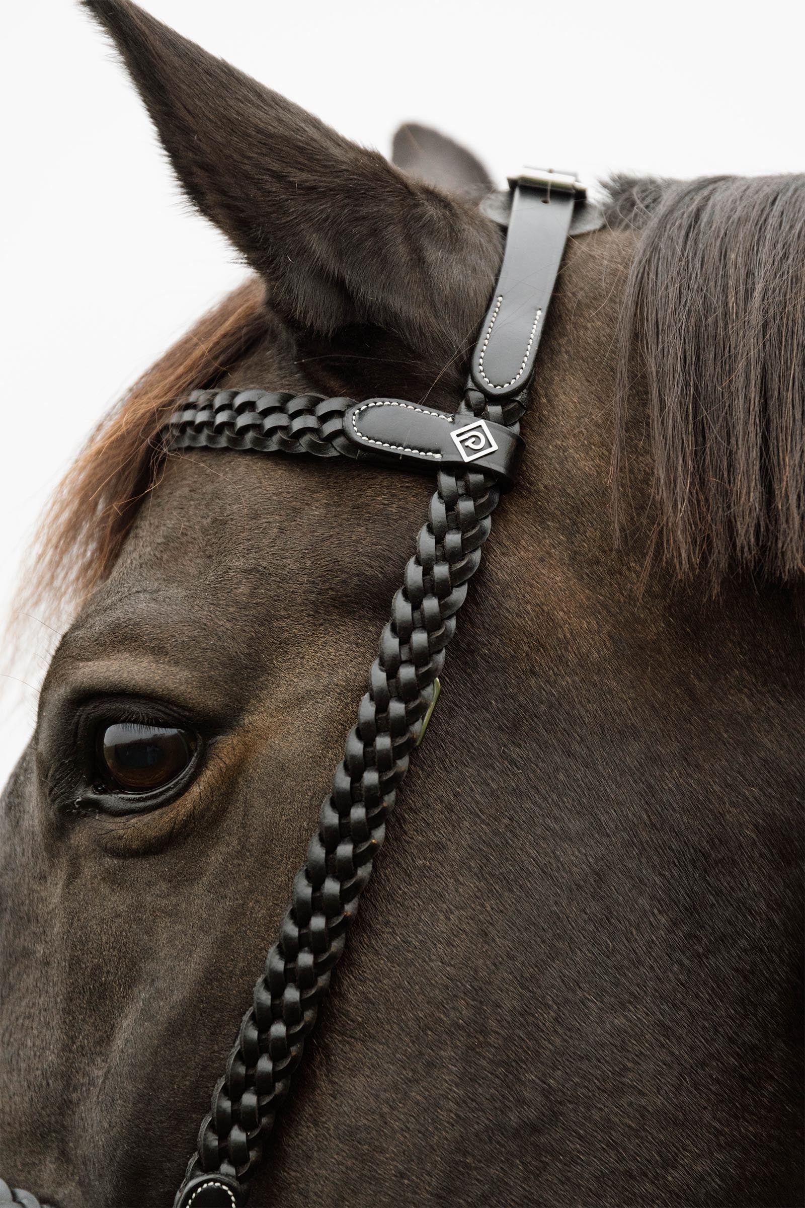 Dy'on Working Plaited Training Bridle  Bridles & Reins
