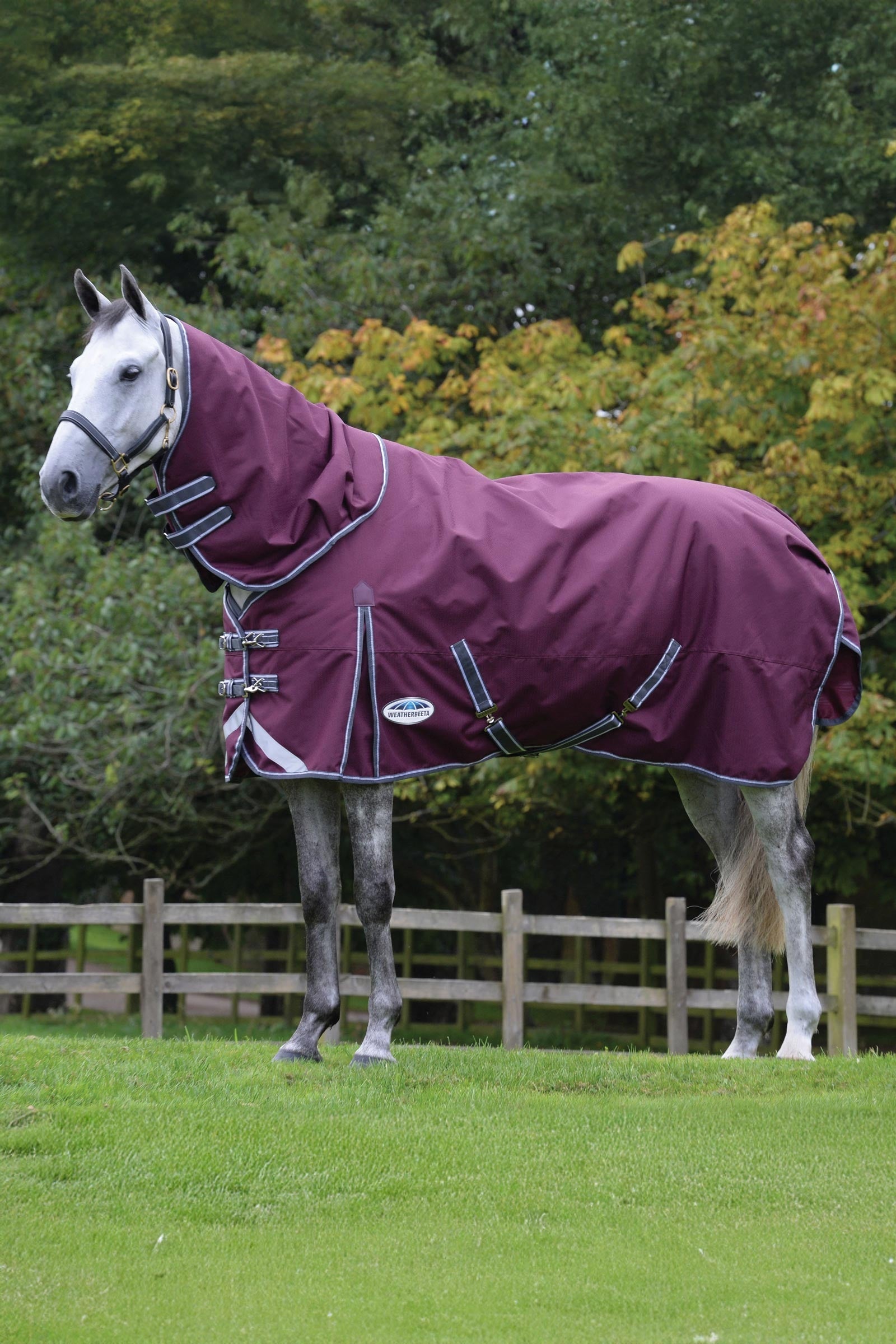 Weatherbeeta Comfitec Plus Dynamic II outdoordeken met afneembaar halsdeel, 100 g Paardendekens