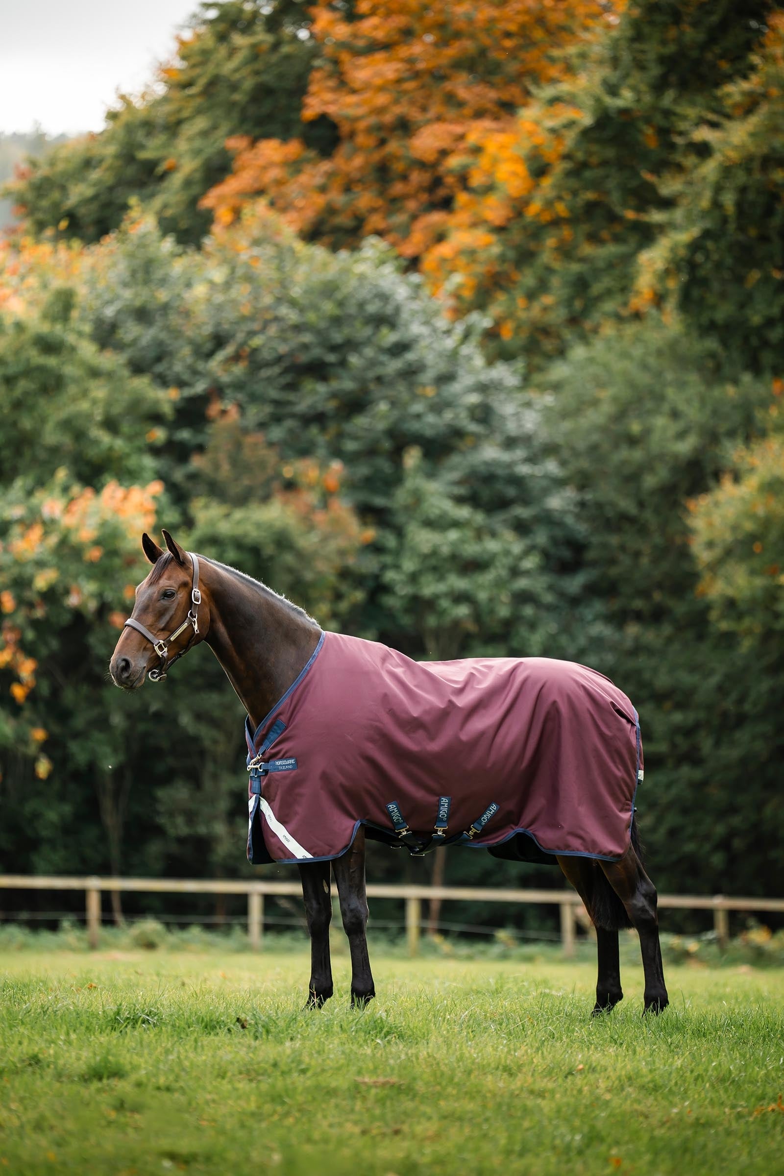 Horseware Amigo 1200D Turnout Rug, 250 g Horse Rugs