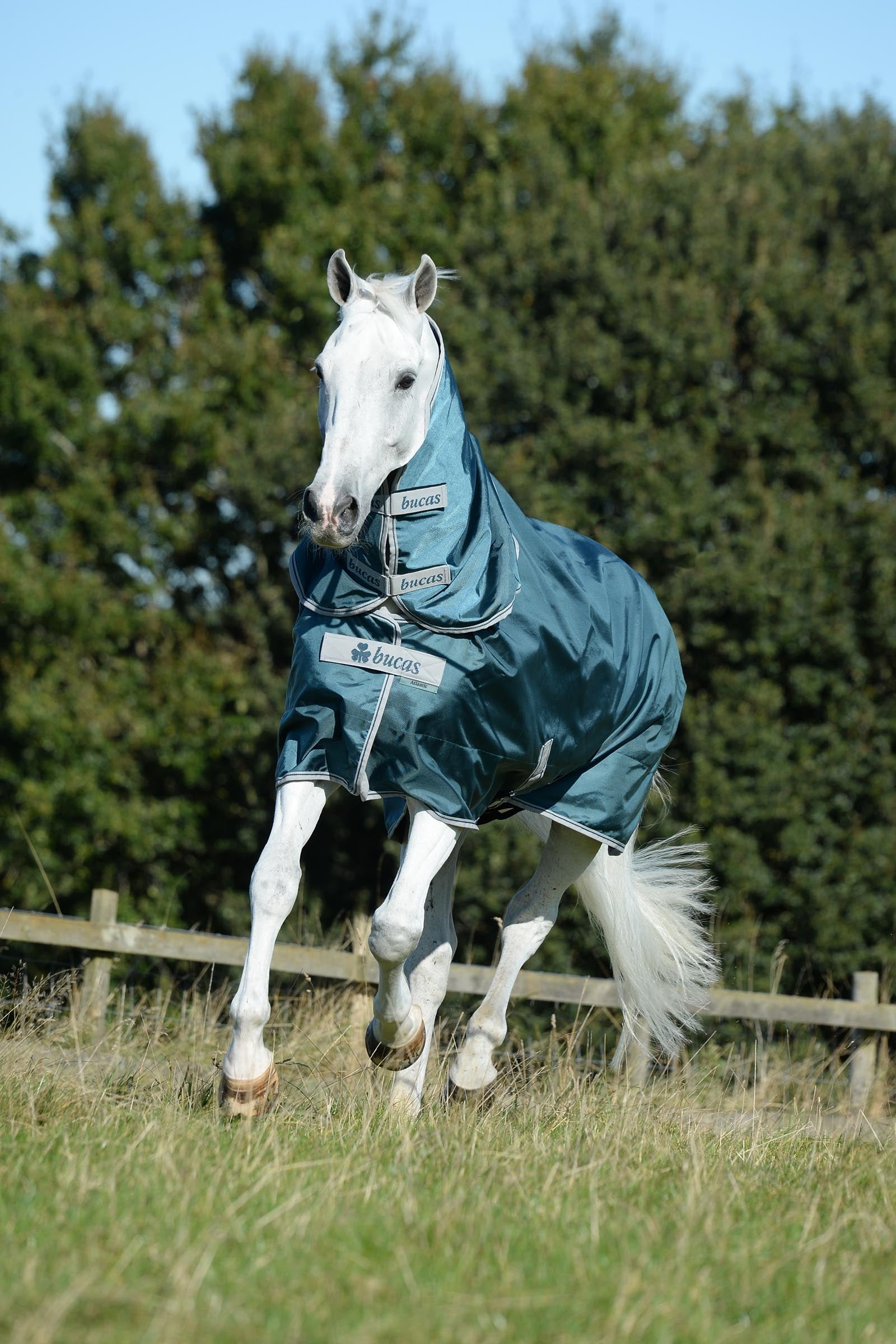 Bucas Atlantic Turnout Neck Piece, 300 g Horse Rugs