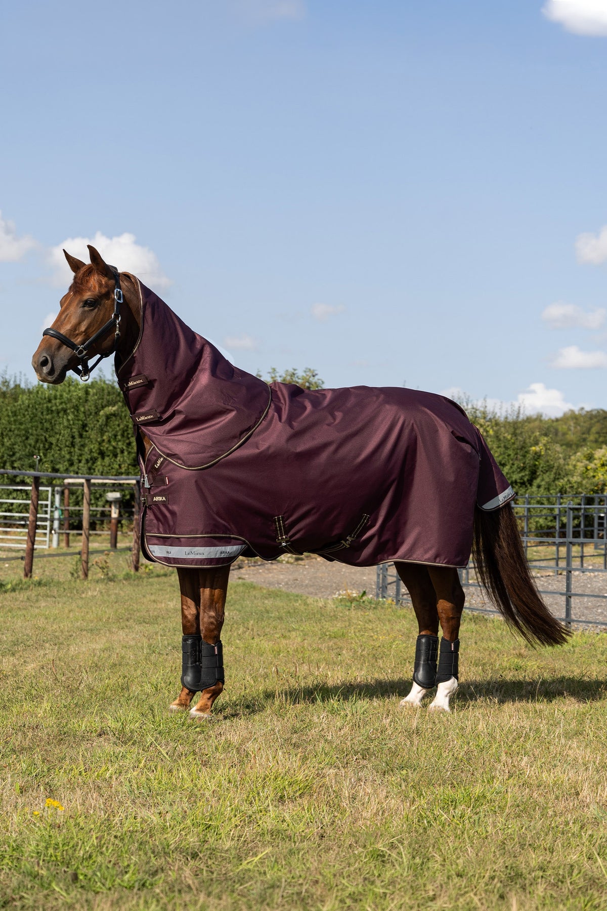 LeMieux Arika Ripstop Turnout Rug With Detachable Neck, 100 g Horse Rugs