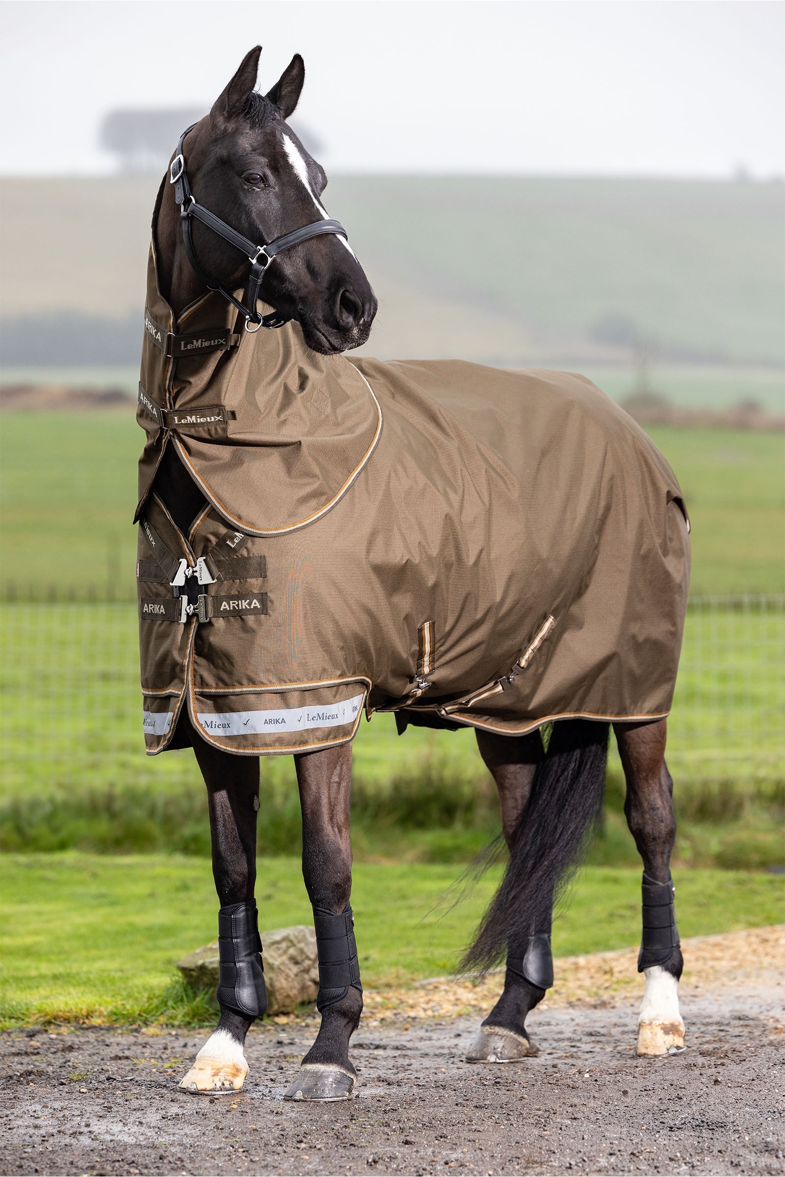 LeMieux Arika Ripstop Turnout Rug With Detachable Neck, 100 g Paardendekens