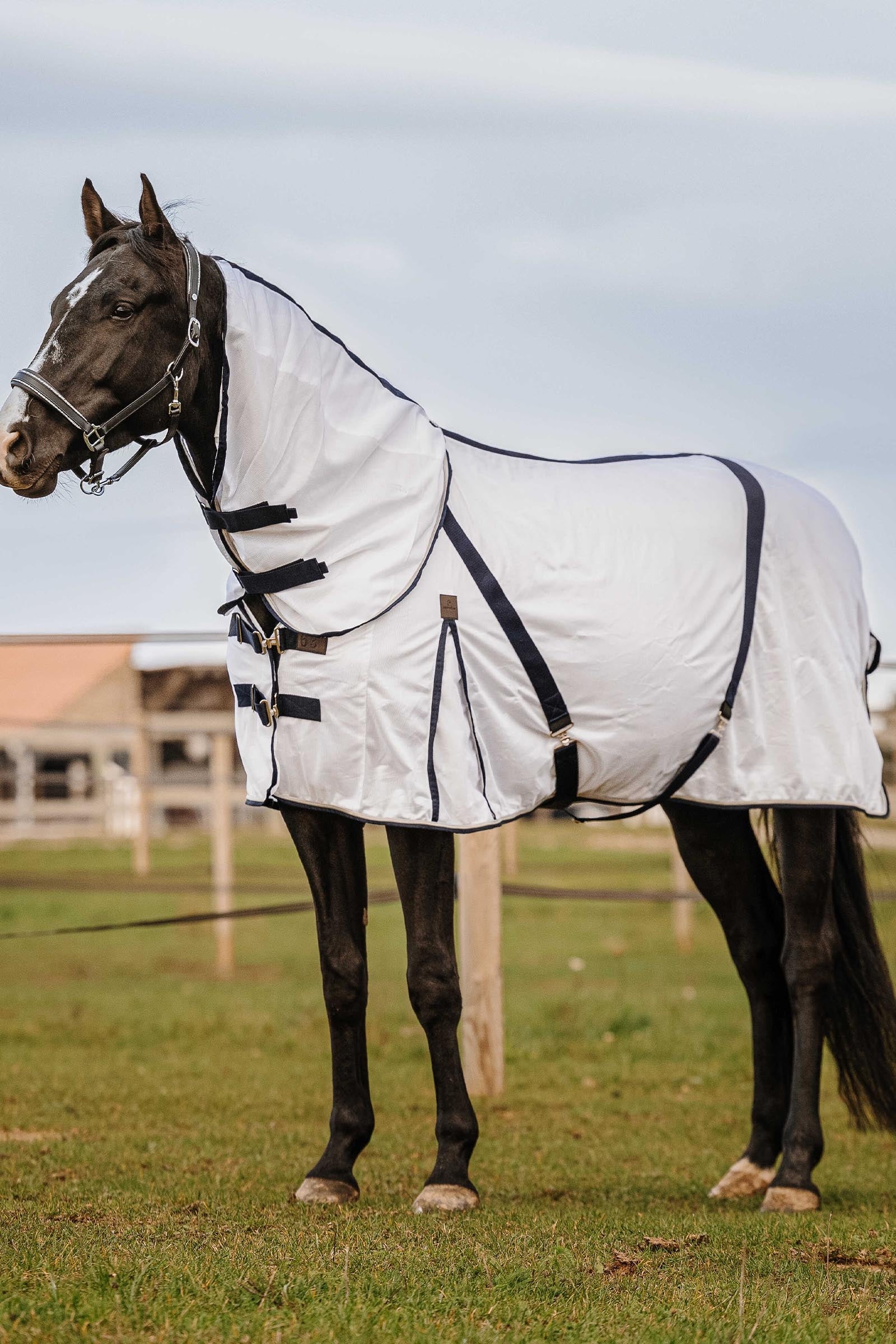 EQUITHÈME Mesh halsdeel Paardendekens