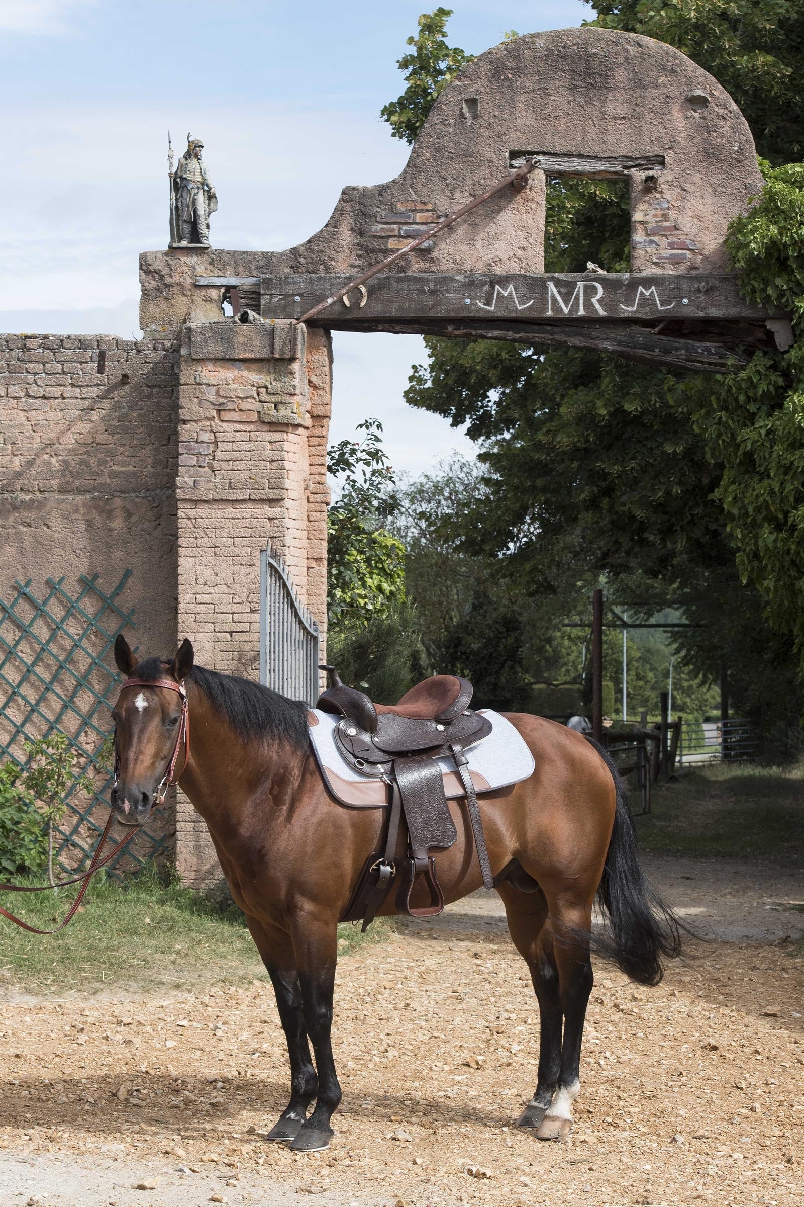 WESTRIDE Felt Saddle Pad 16mm Saddle Pads