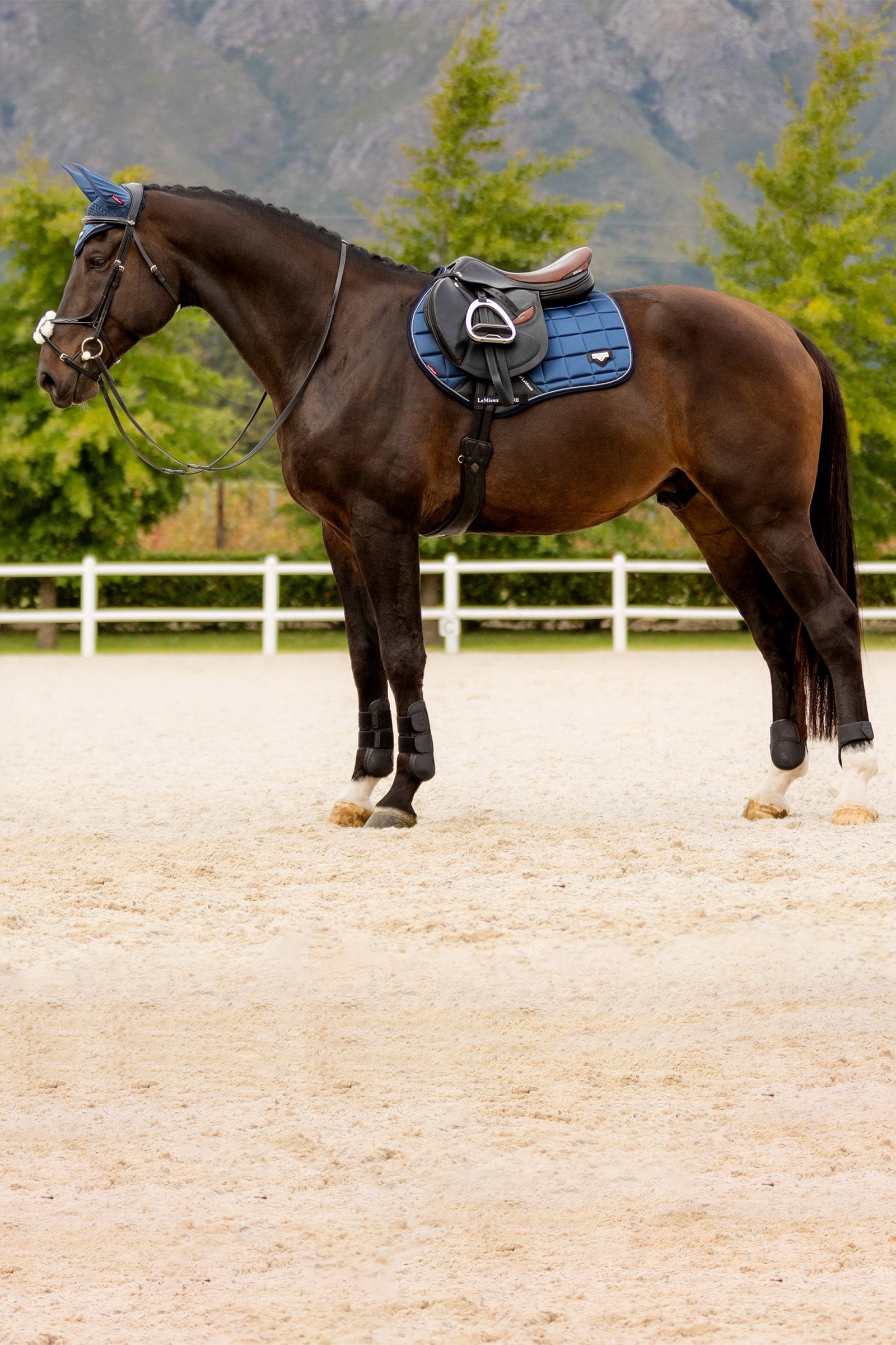 LeMieux Loire Classic Square Close Contact Saddle Pad Saddle Pads