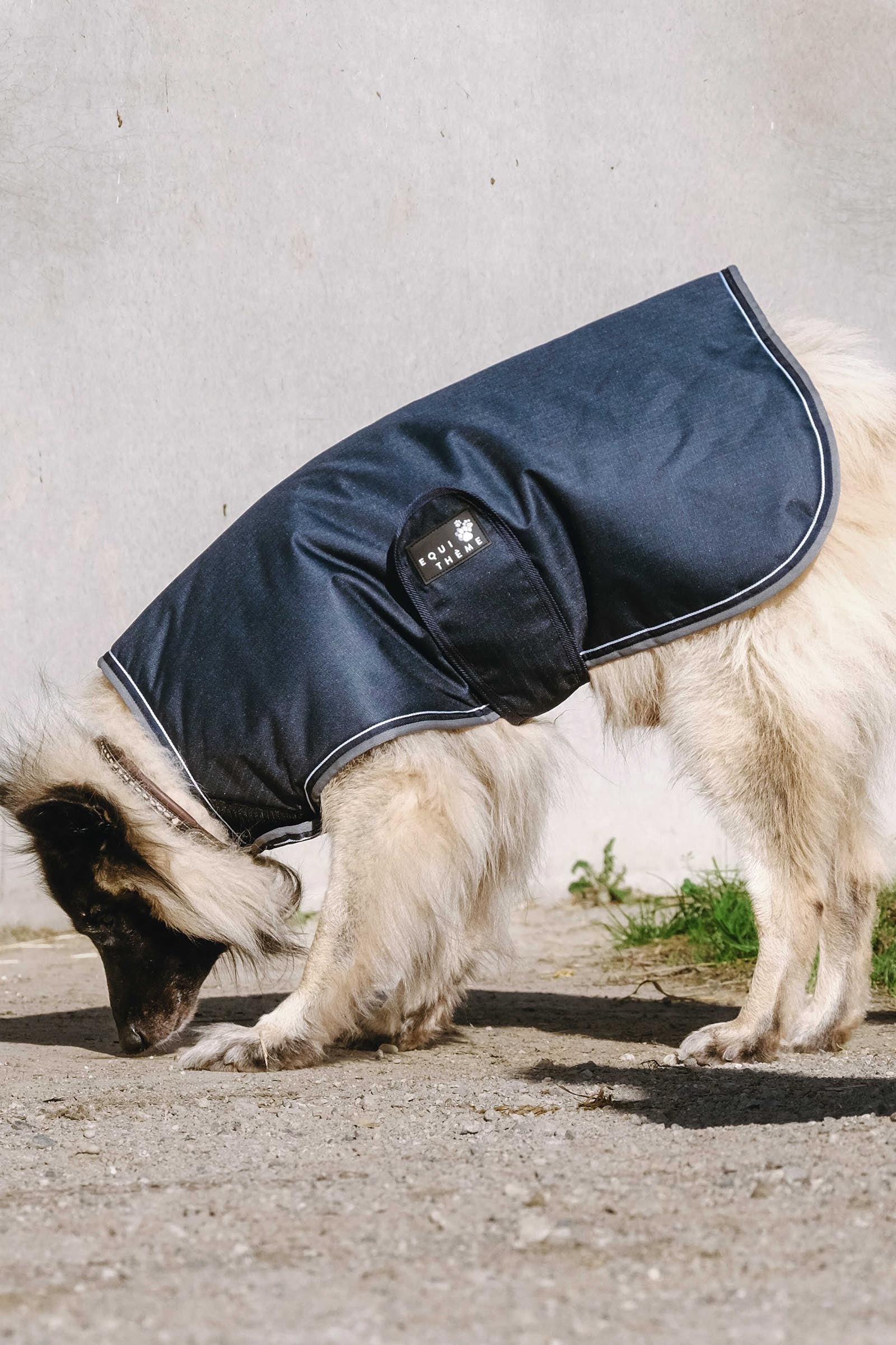 EQUITHÈME TYREX 600D Dog Rug, 220 g Dog Accesories