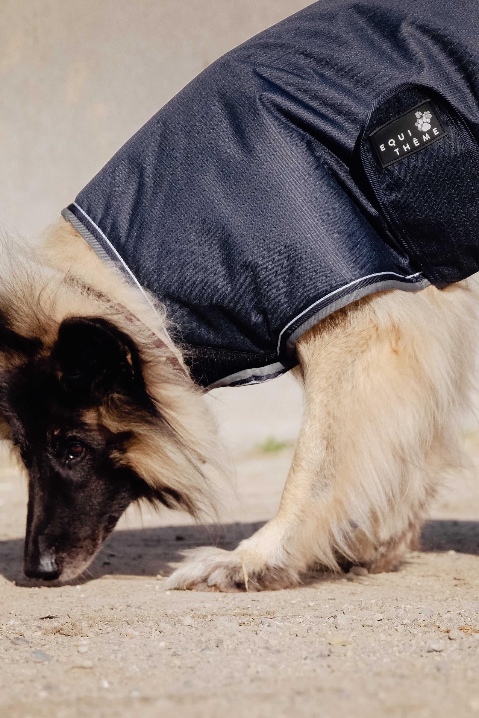 EQUITHÈME TYREX 600D Dog Rug, 220 g Dog Accesories