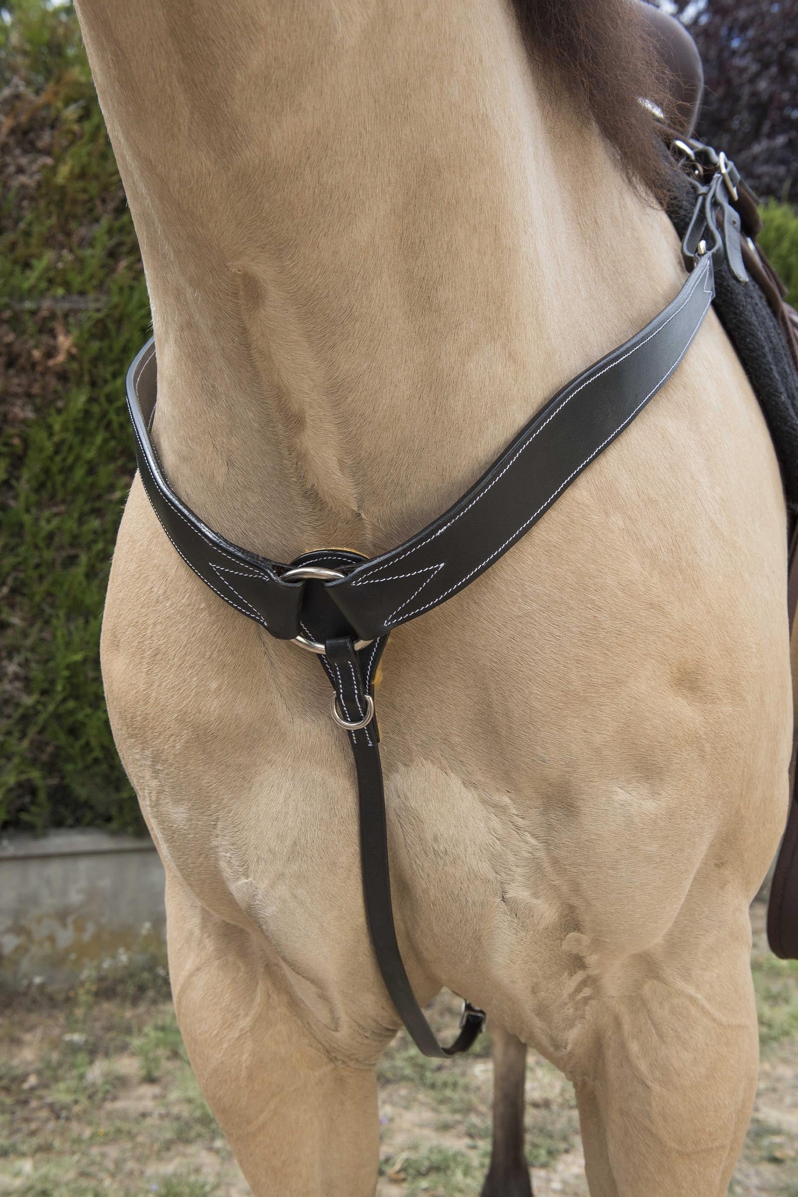 WESTRIDE Topstitched Western Hunting Collar Bridles & Reins
