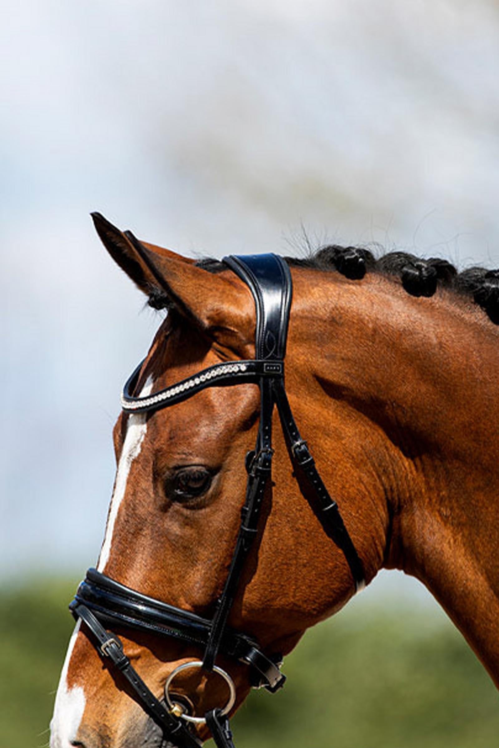 Anky ANKY Anatomic Bridle Patent Leather With Soft Padding Bridles & Reins