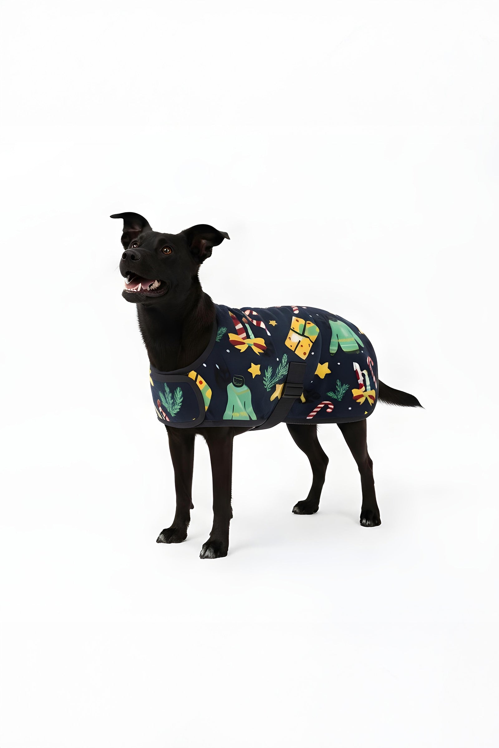 Horze kersttrui voor honden Hond