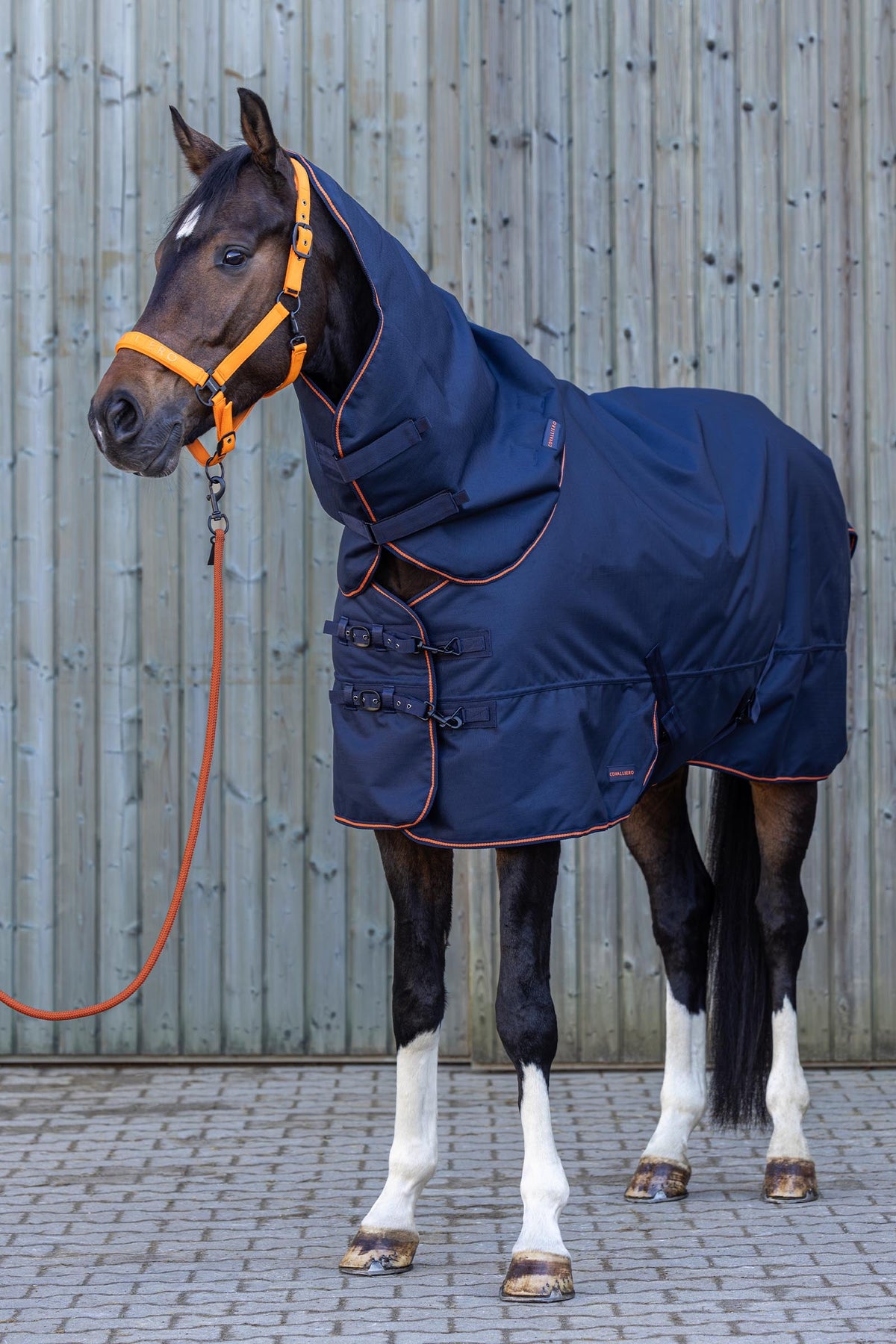 Covalliero FW26 Neck Piece 300g Horse Rugs