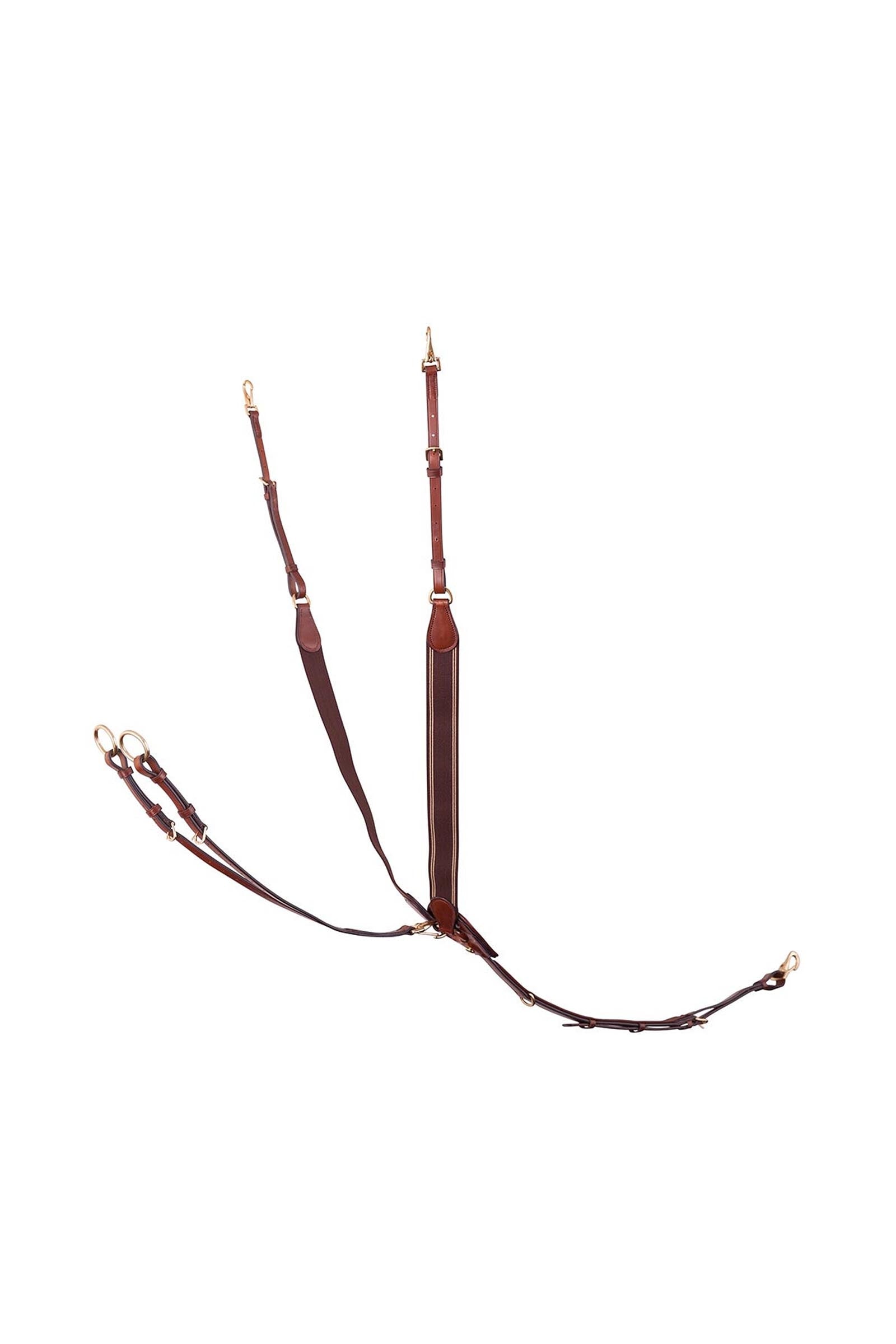 BR Taunton Elastic Breastplate With Martingale Bridles & Reins