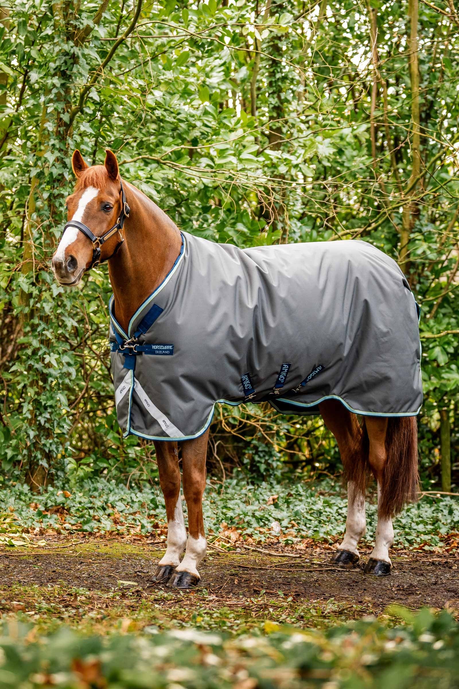 Horseware Amigo Bravo 12 Plus outdoordeken met afneembare hals, 400g Paardendekens