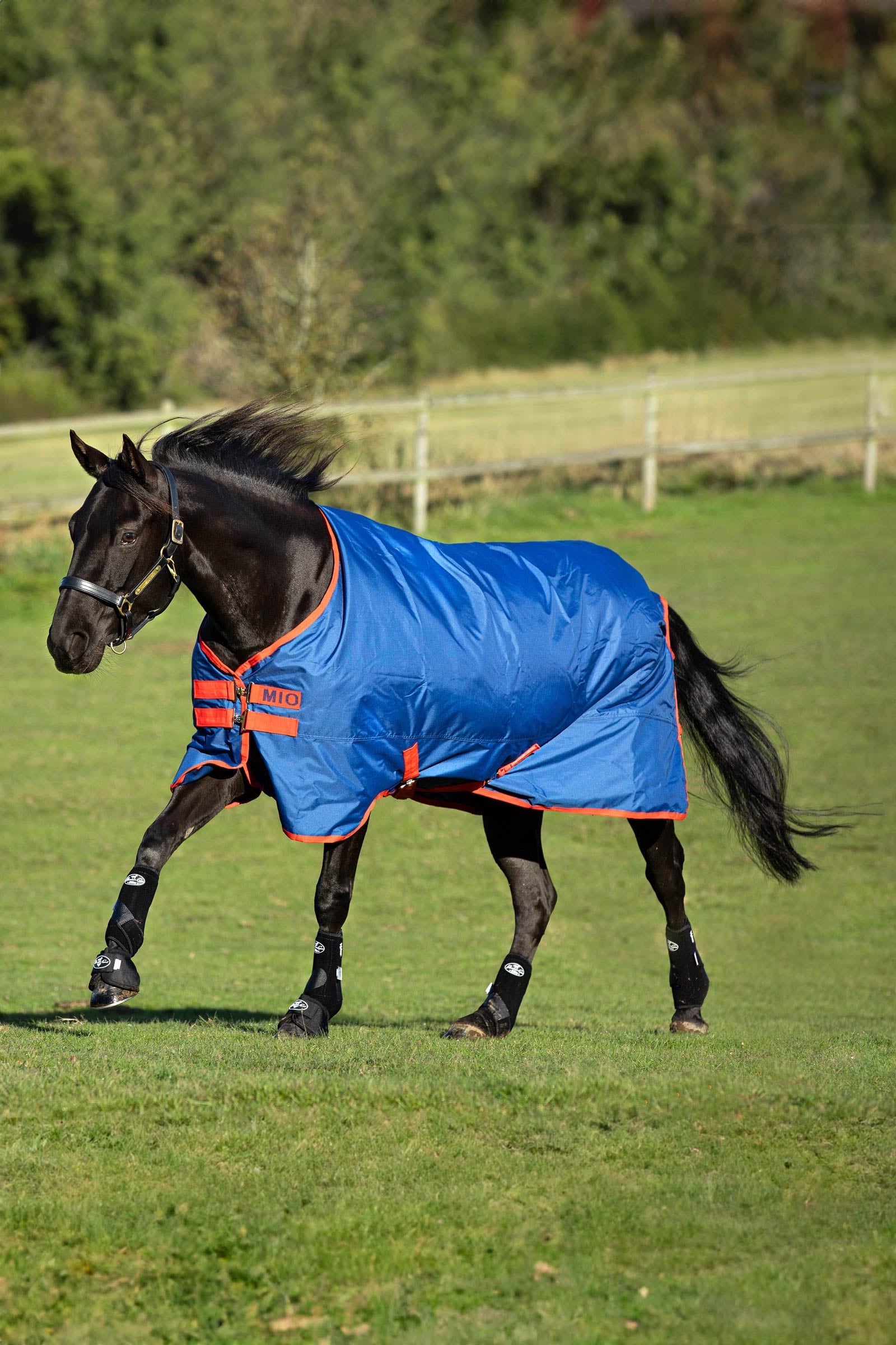 Horseware Mio Turnout Rug, 200g Horse Rugs