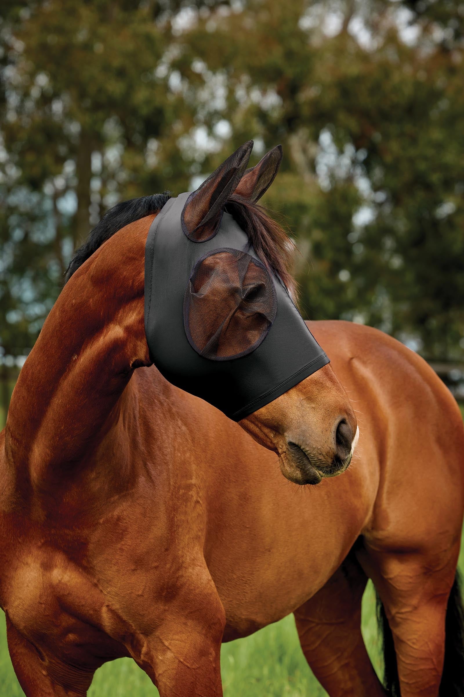 Weatherbeeta Comfitec Deluxe Stretch Fly Mask With Ears Antifly Protection for Horses