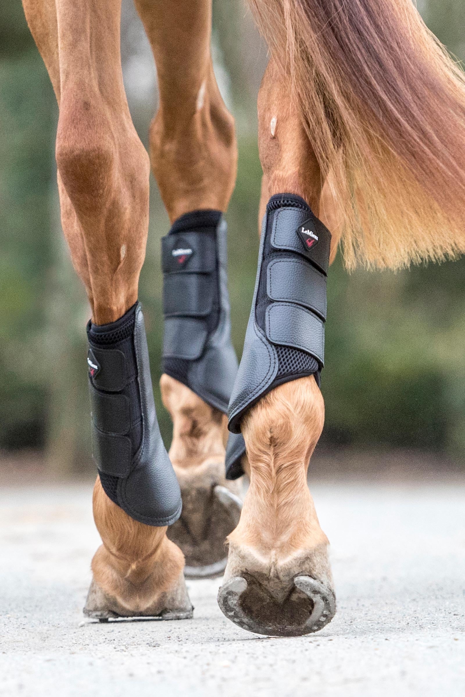 LeMieux Mesh Brushing Boots Leg & Hoof Protection