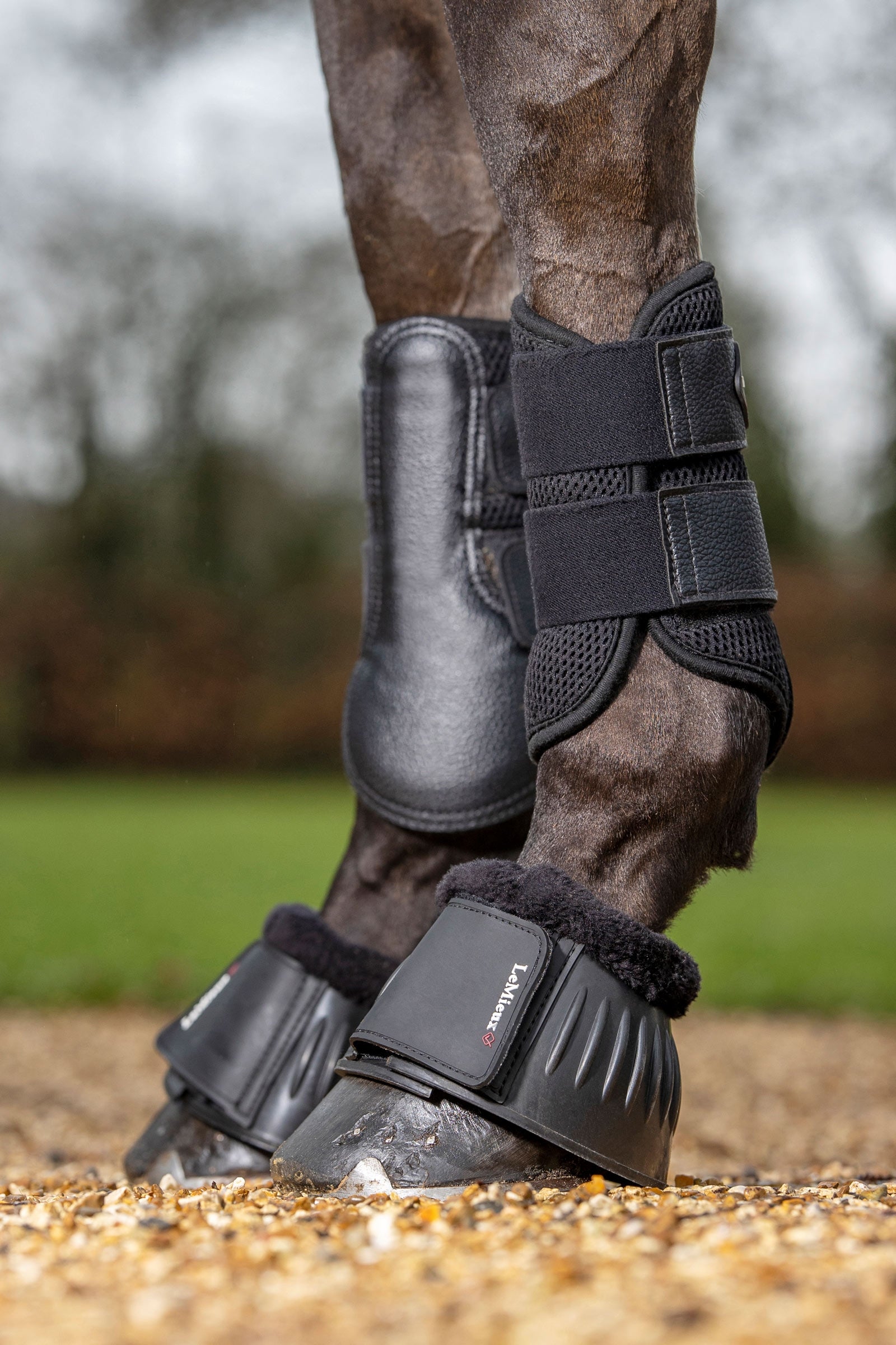 LeMieux Mesh Brushing Boots Leg & Hoof Protection