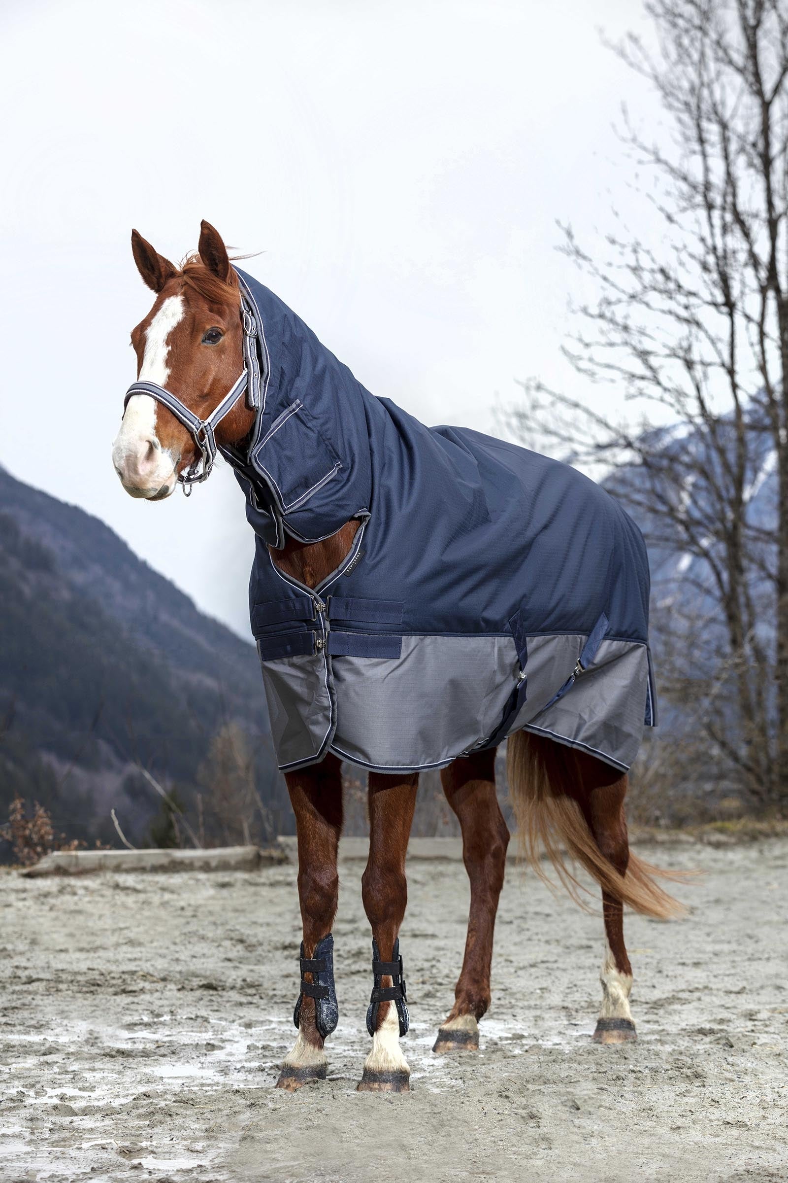 EQUITHÈME TYREX 600D combideken, 200 g Paardendekens