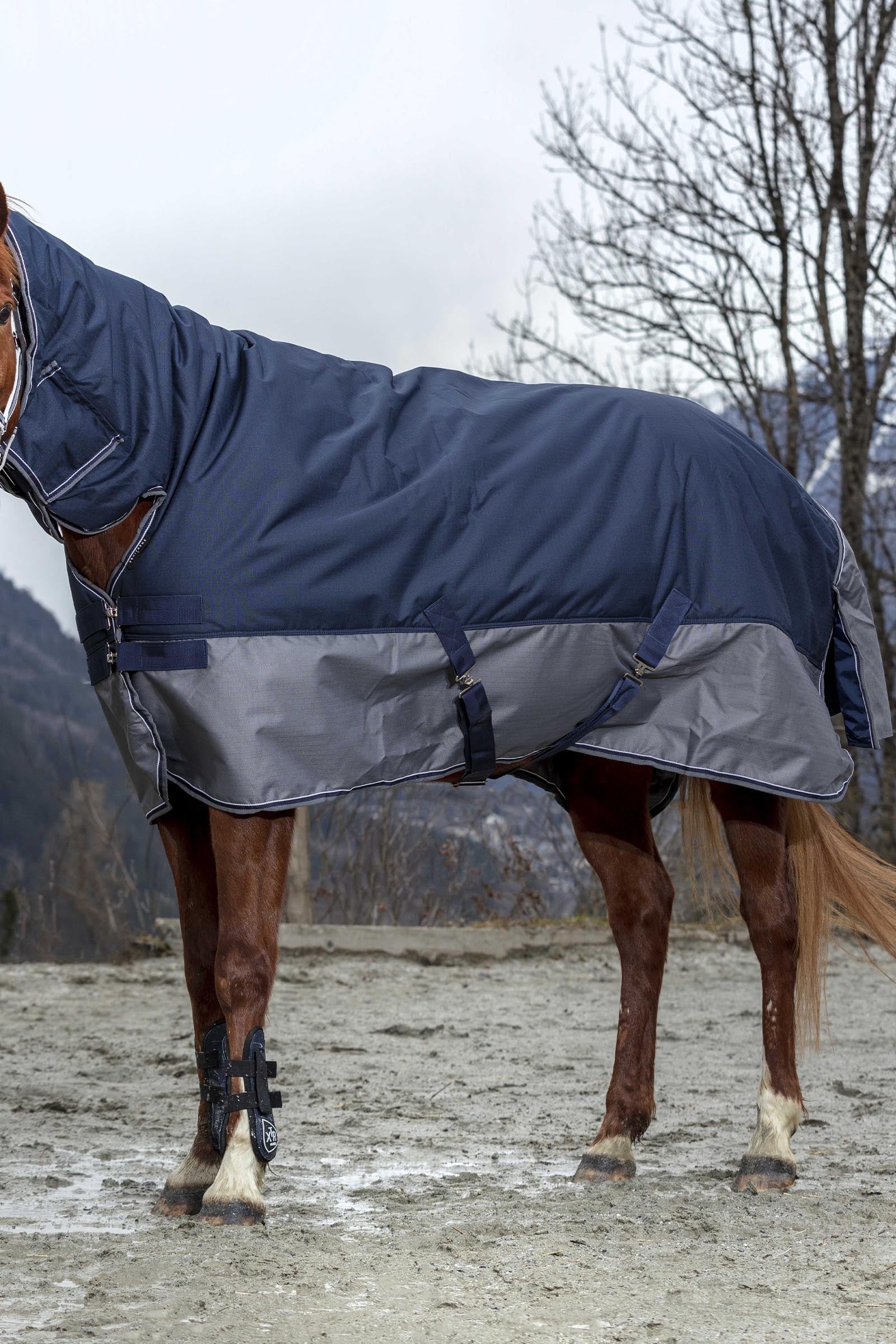 EQUITHÈME TYREX 600D Combo Rug, 200 g Horse Rugs