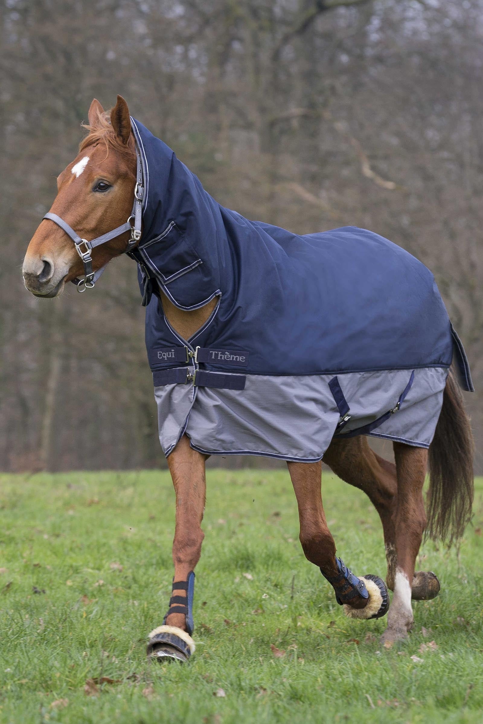 EQUITHÈME TYREX 600D Combo Rug, 200 g Horse Rugs