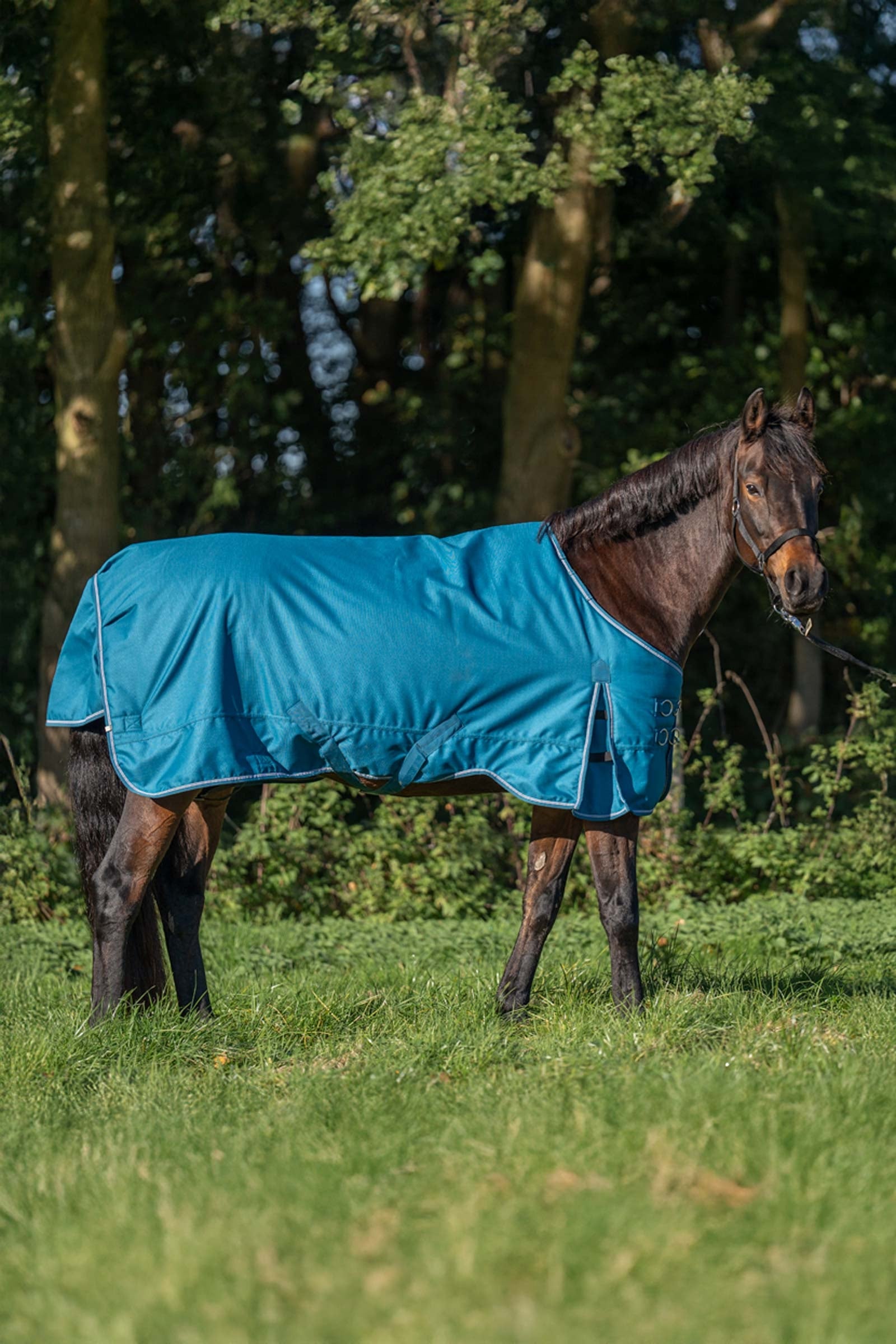 Kavalkade Alaska IV Paardendeken, 300 g Paardendekens