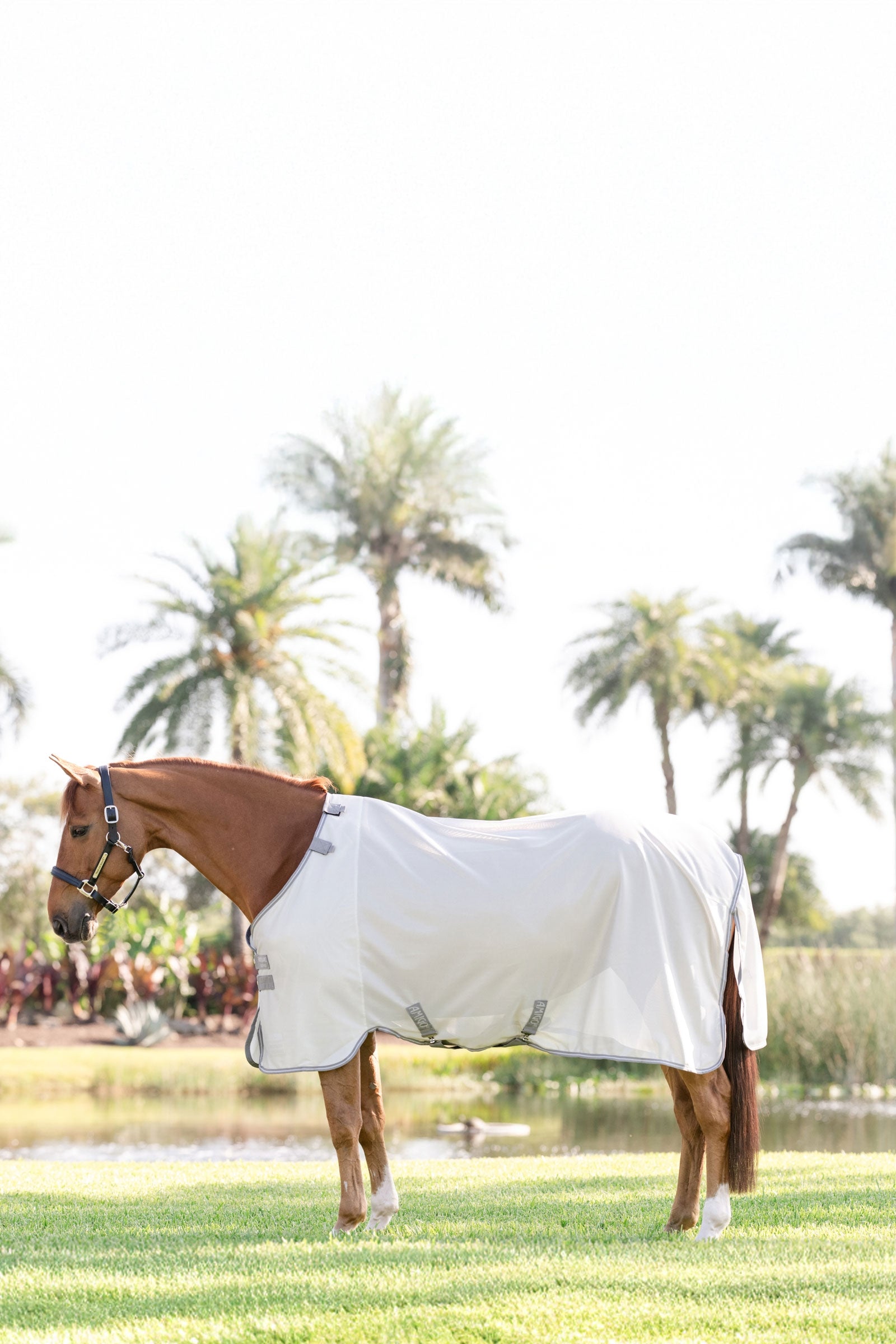 Horseware Amigo vliegendeken met UV-bescherming Paardendekens