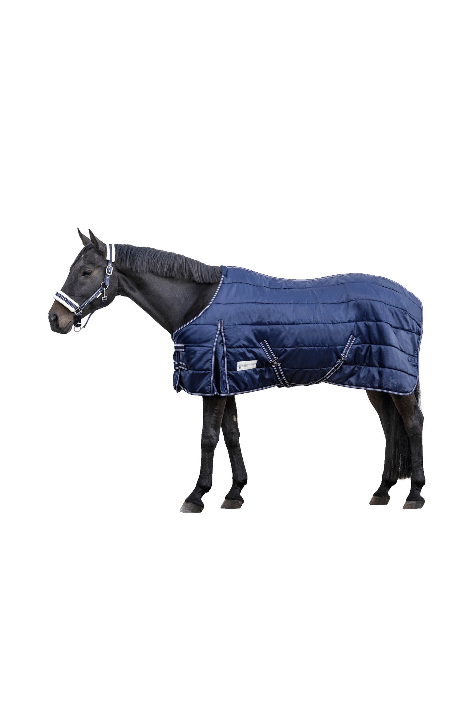 Waldhausen Stable Rug Economic 300 g Paardendekens