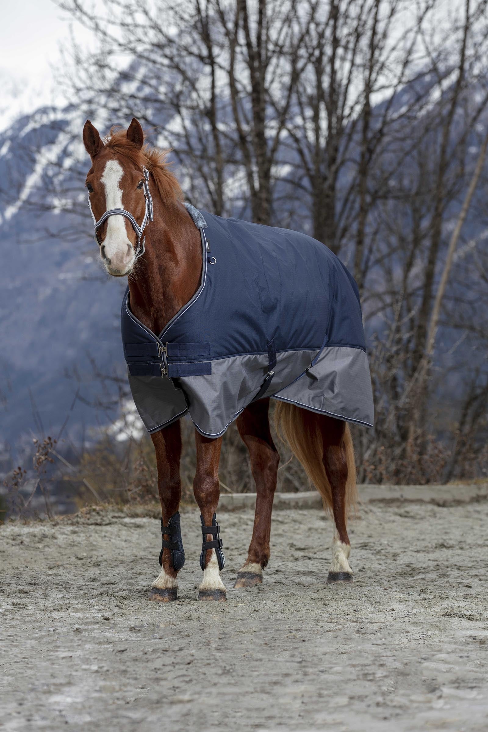 EQUITHÈME TYREX 600D Turnout Rug, 450 g Horse Rugs