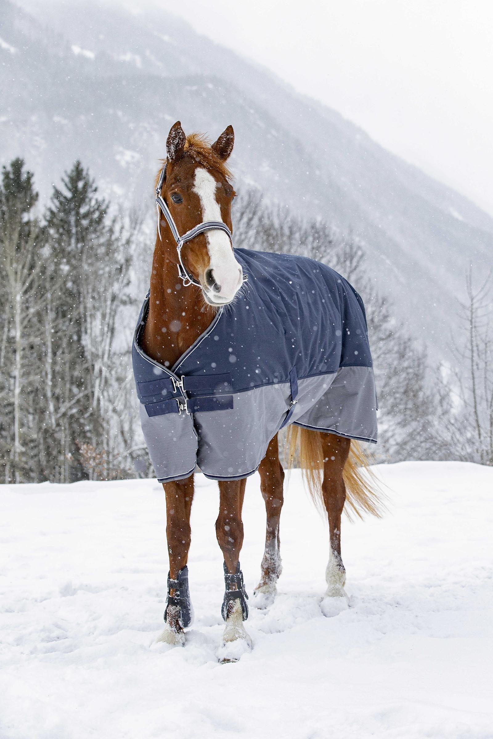 EQUITHÈME TYREX 600D Turnout Rug, 450 g Horse Rugs