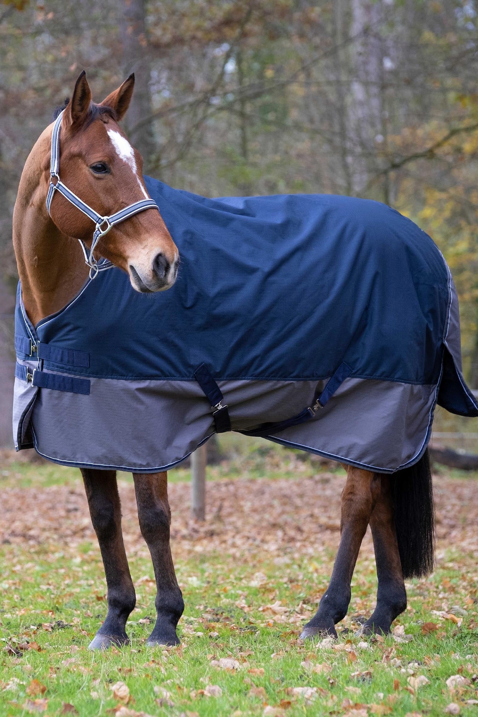 EQUITHÈME TYREX 600D Turnout Rug, 450 g Horse Rugs