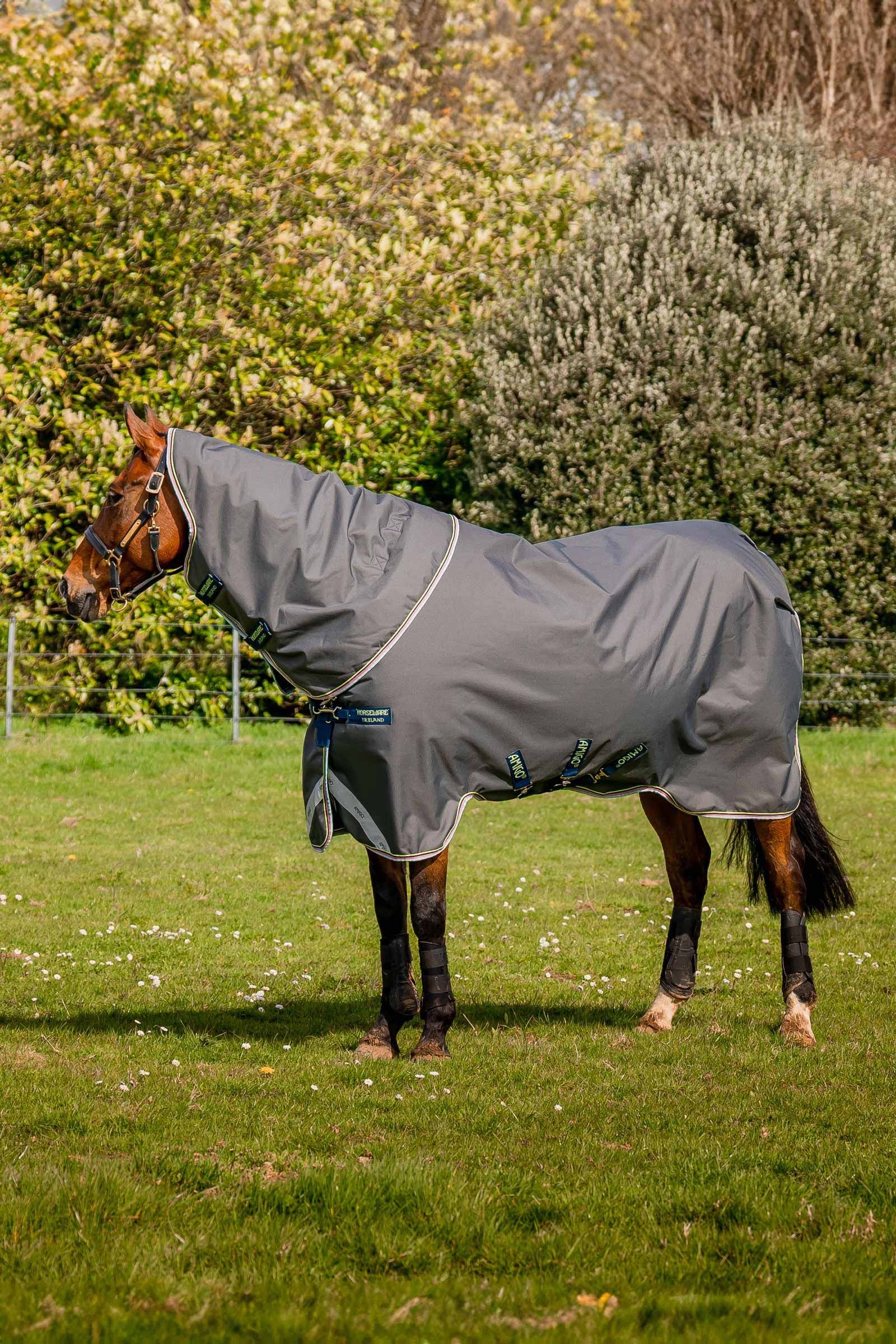 Horseware Amigo Bravo 12 Plus outdoordeken, 250 g Paardendekens