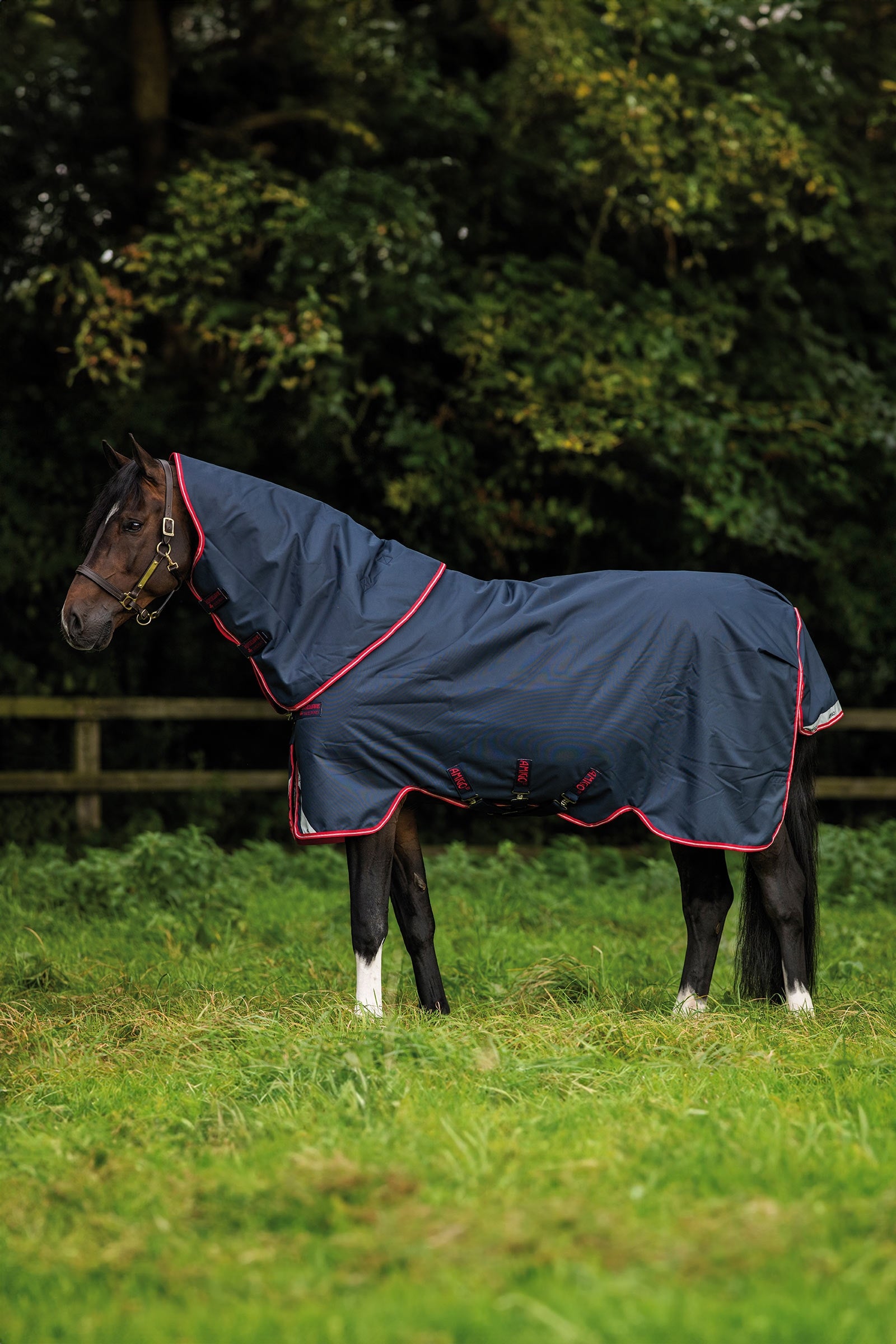 Horseware Amigo Bravo 12 Plus outdoordeken, 250 g Paardendekens