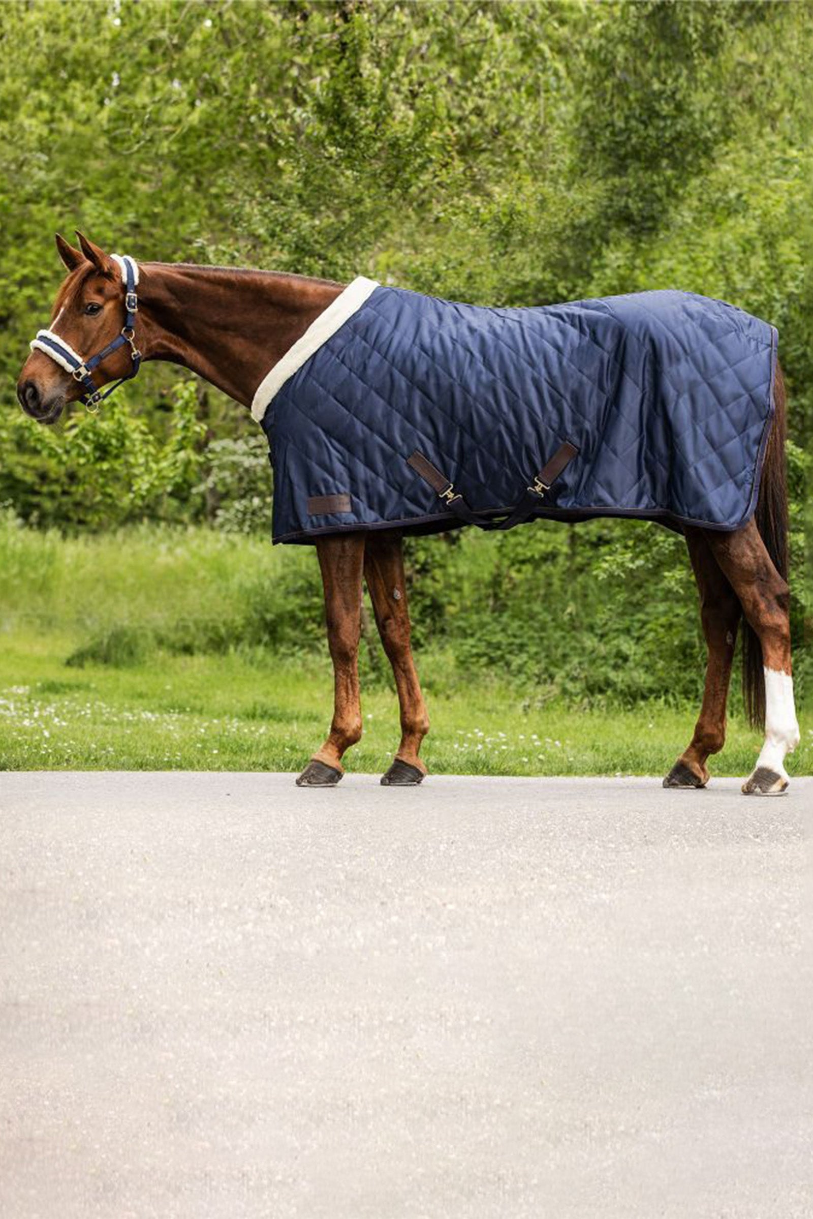 Waldhausen Exclusive Reisdeken, 50g Paardendekens