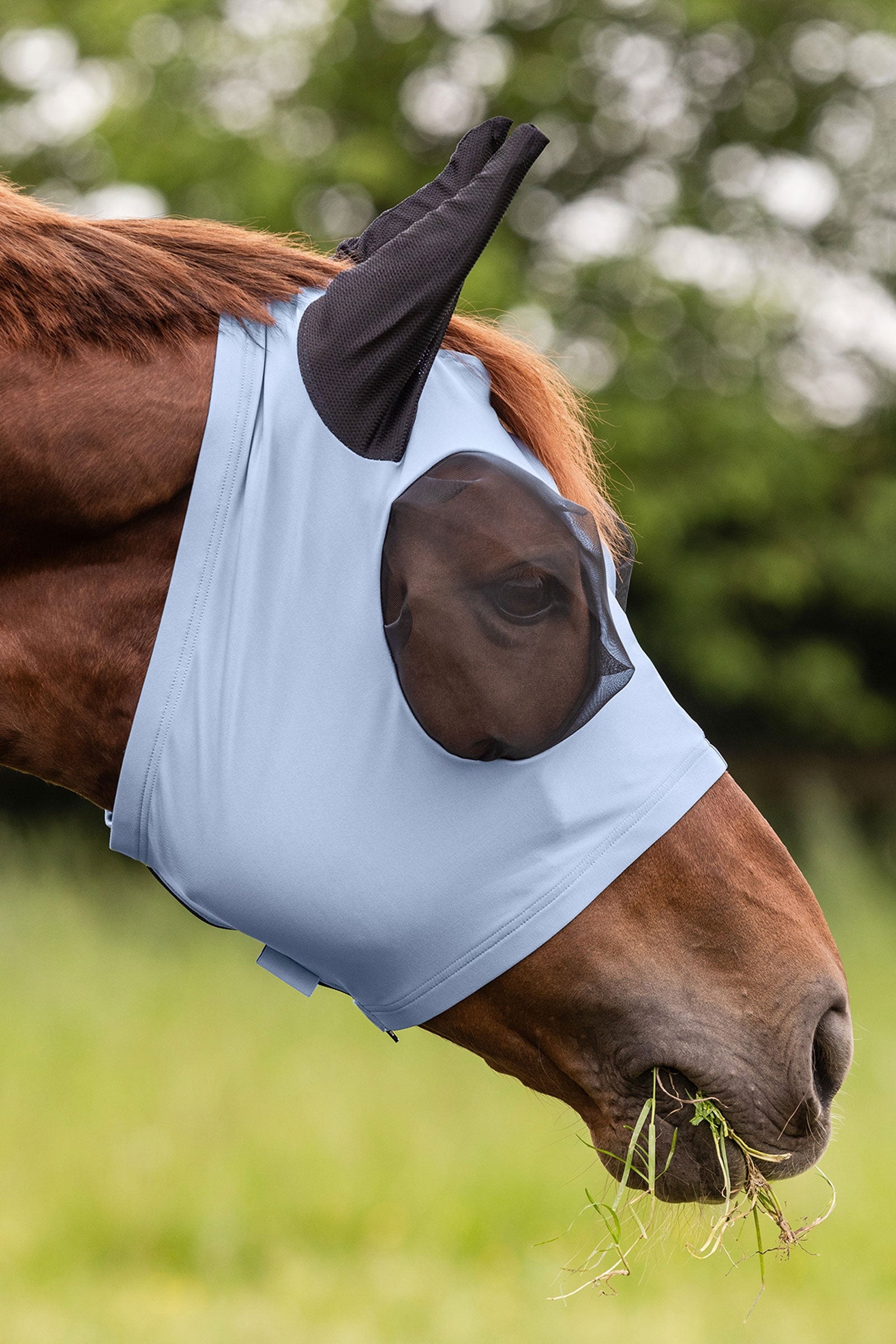 Waldhausen Puck Fly Mask With Zip and  UV-Protection Antifly Protection for Horses