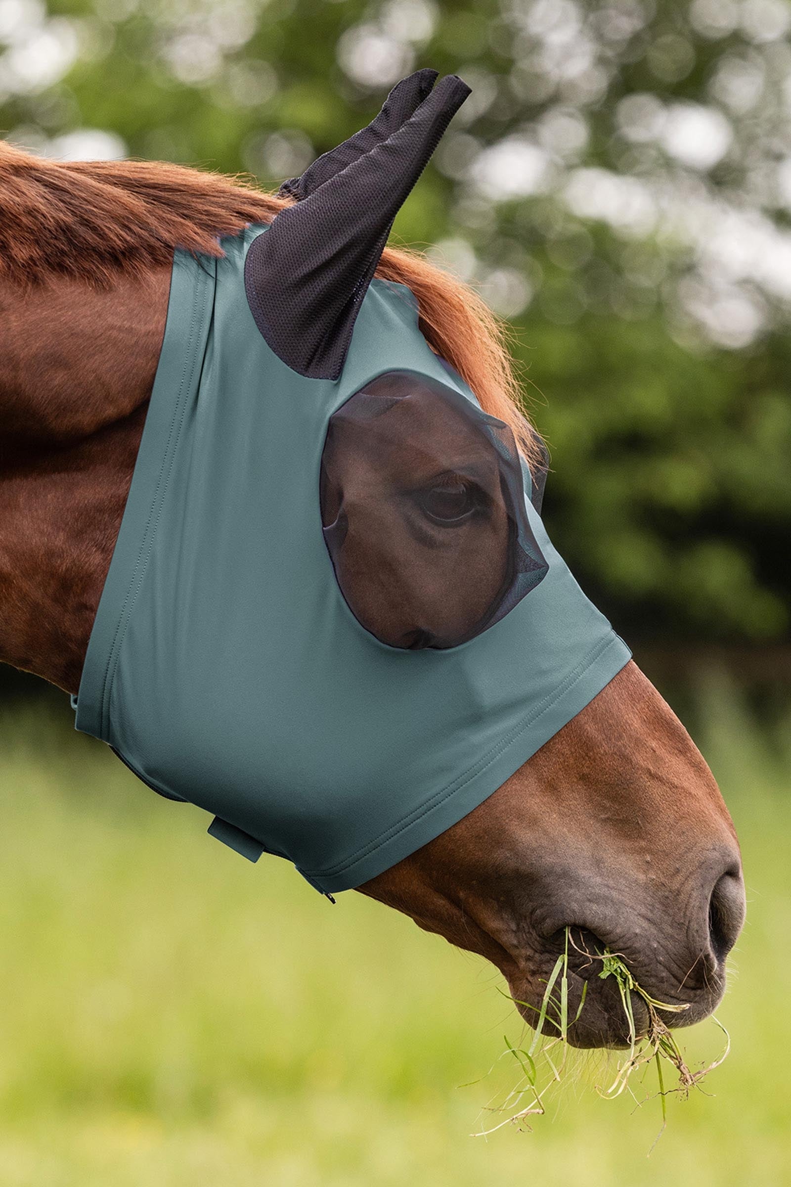 Waldhausen Puck Fly Mask With Zip and  UV-Protection Antifly Protection for Horses