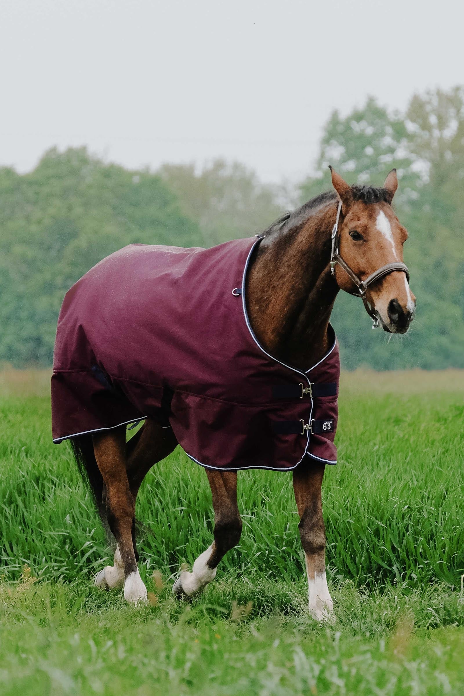 EQUITHÈME TYREX 1200D outdoordeken, 50 g Paardendekens