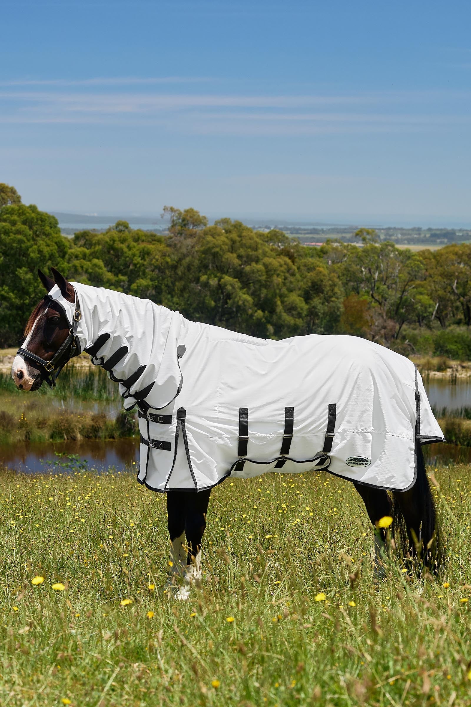 Weatherbeeta ComFiTec Sweet Itch Shield Vliegendeken combo met vaste hals, 0 g Paardendekens