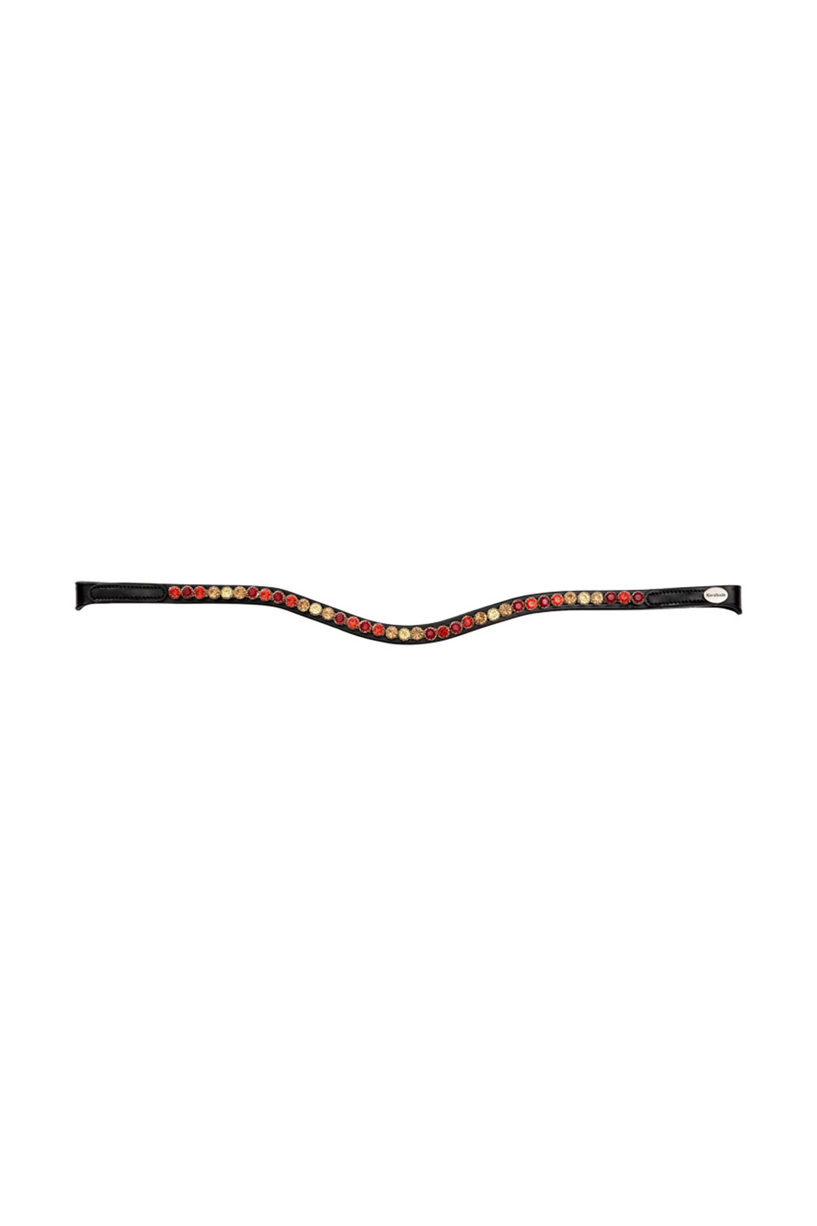 Alt Tag fallback text for IMAGE