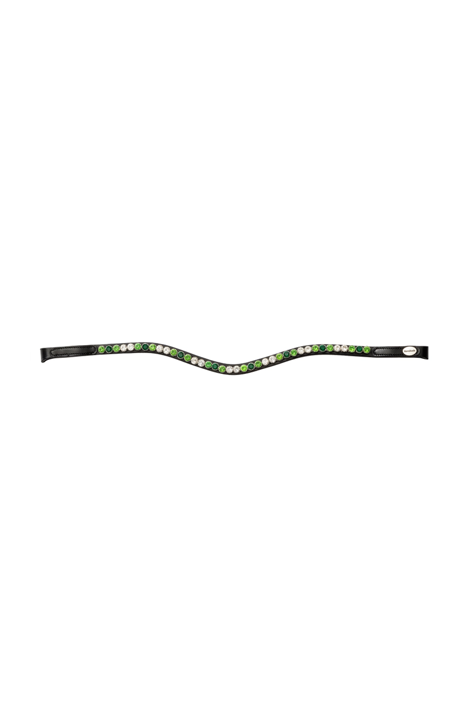 Alt Tag fallback text for IMAGE