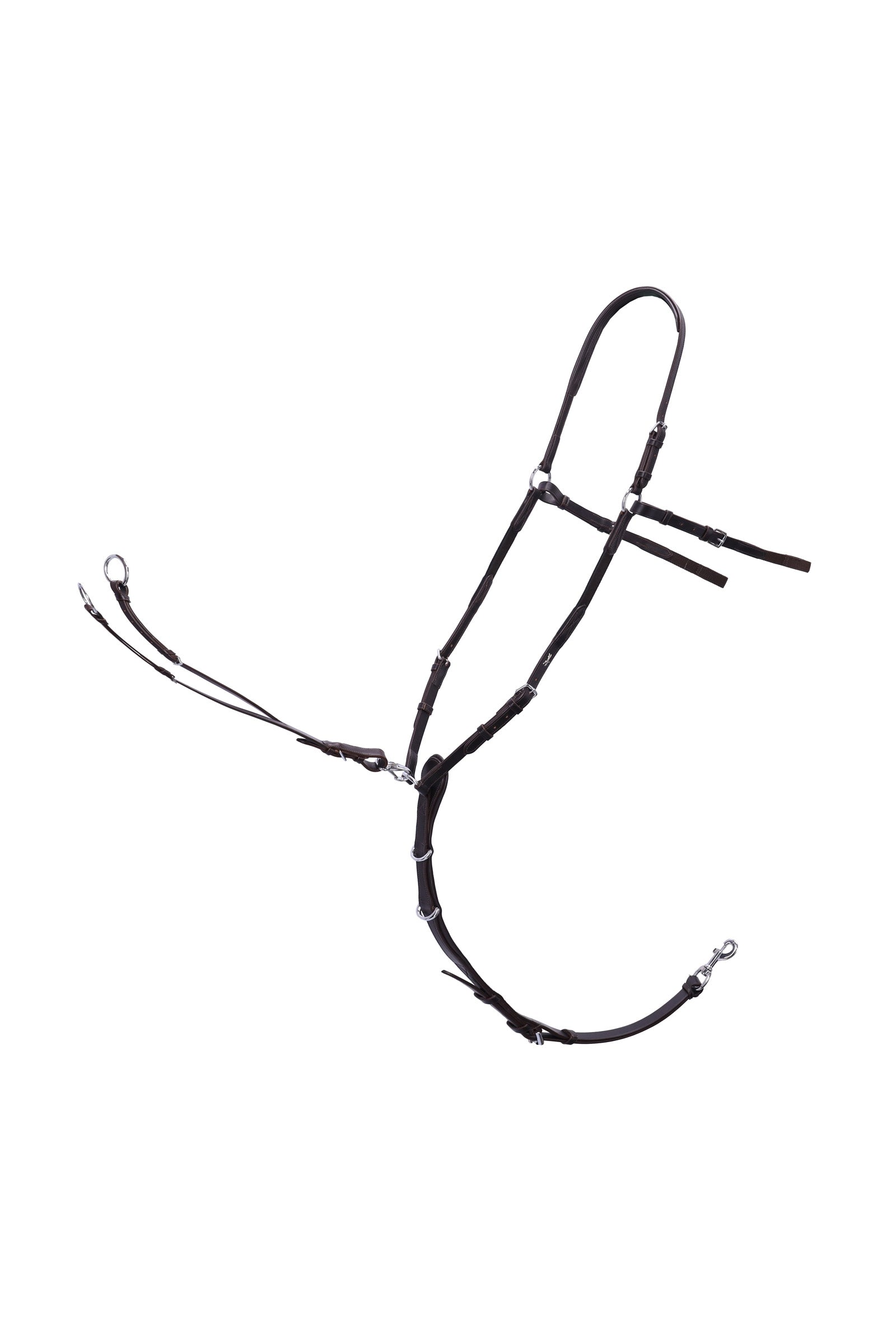 Alt Tag fallback text for IMAGE