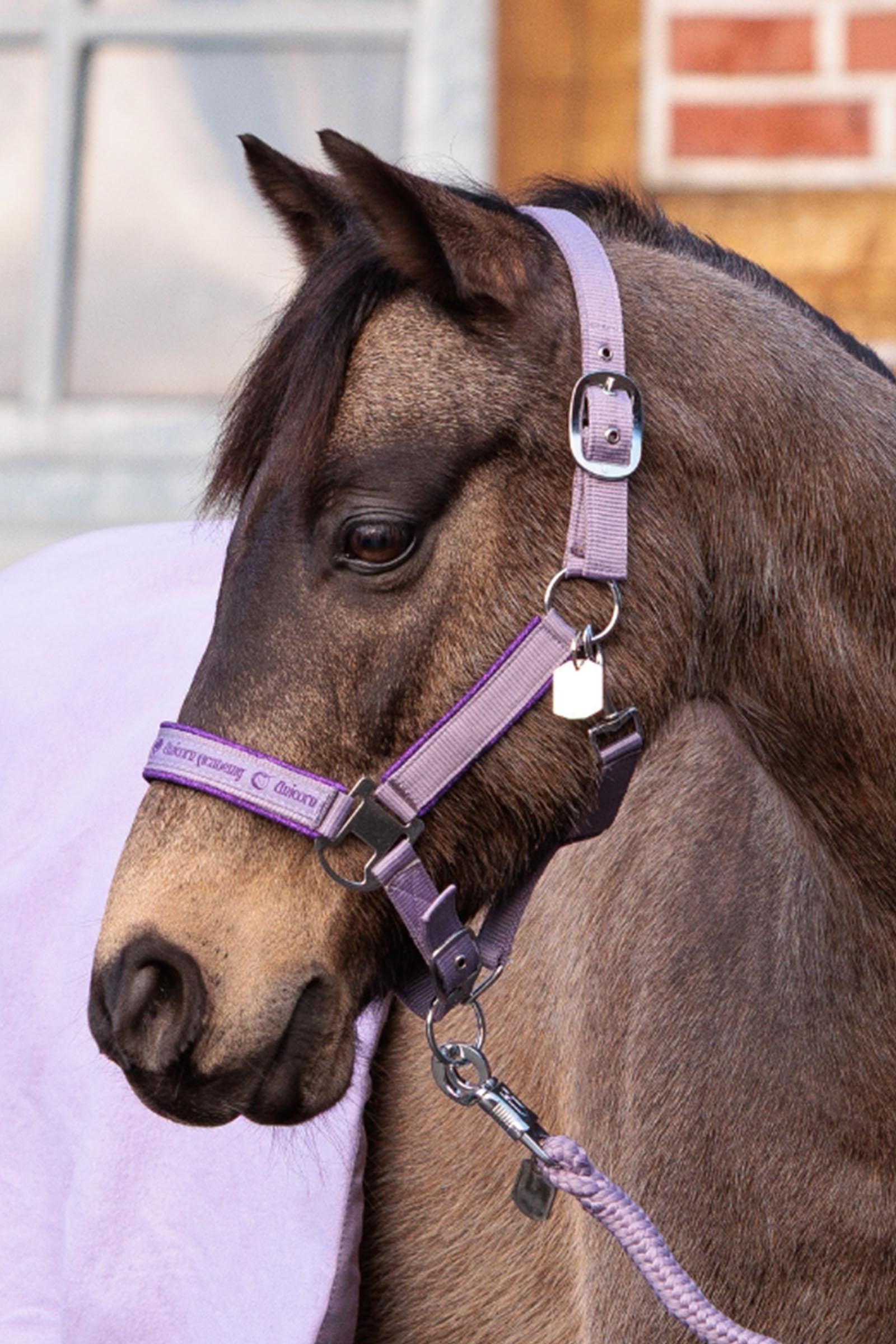 Kavalkade Unicorn Academy Halter With Glitter Halters & Leads