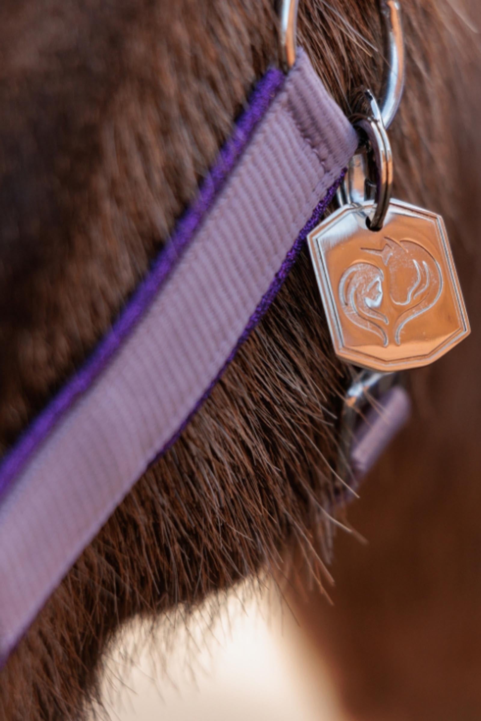 Kavalkade Unicorn Academy Halter With Glitter Halters & Leads