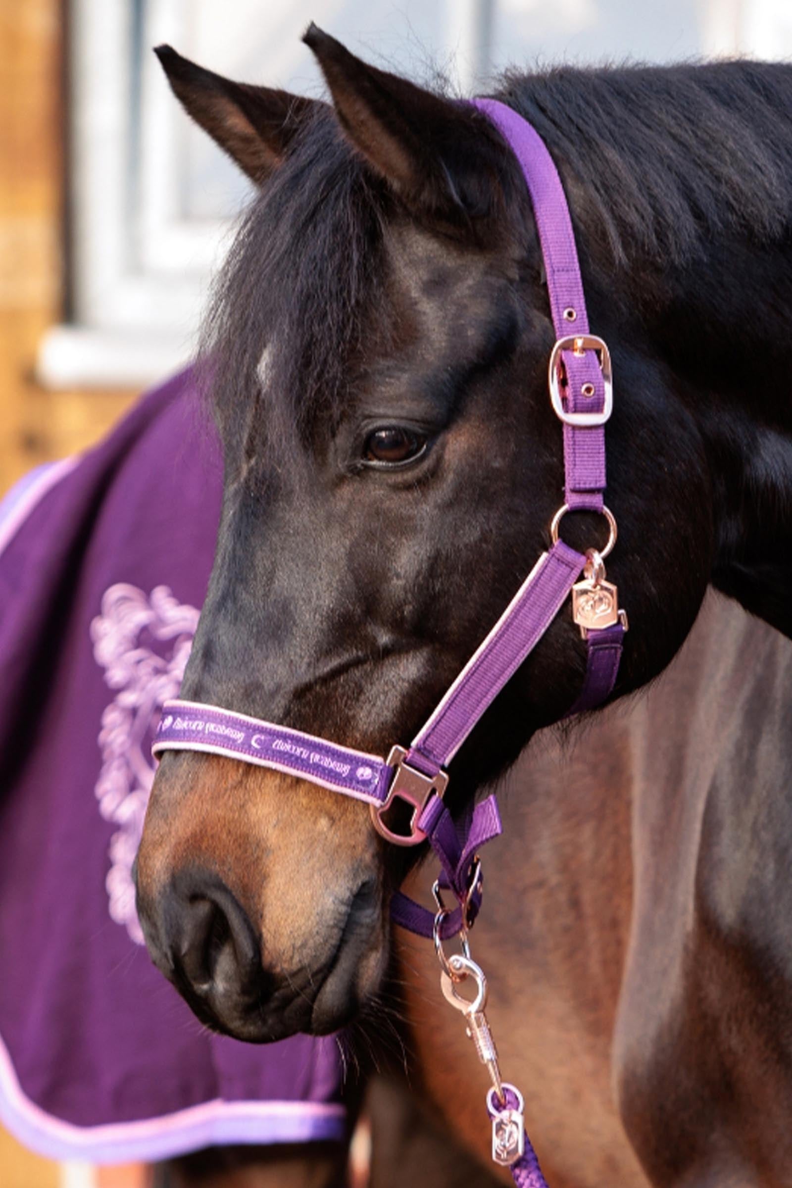 Kavalkade Unicorn Academy Halter With Glitter Halters & Leads