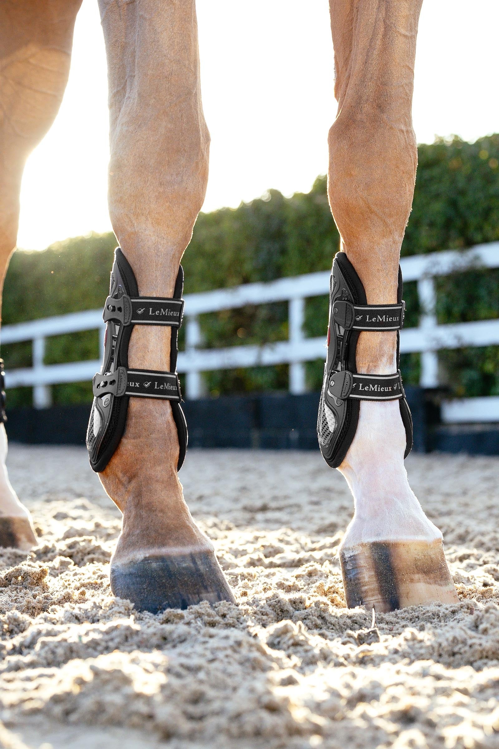 LeMieux EXO Flex Tendon Boots Leg & Hoof Protection