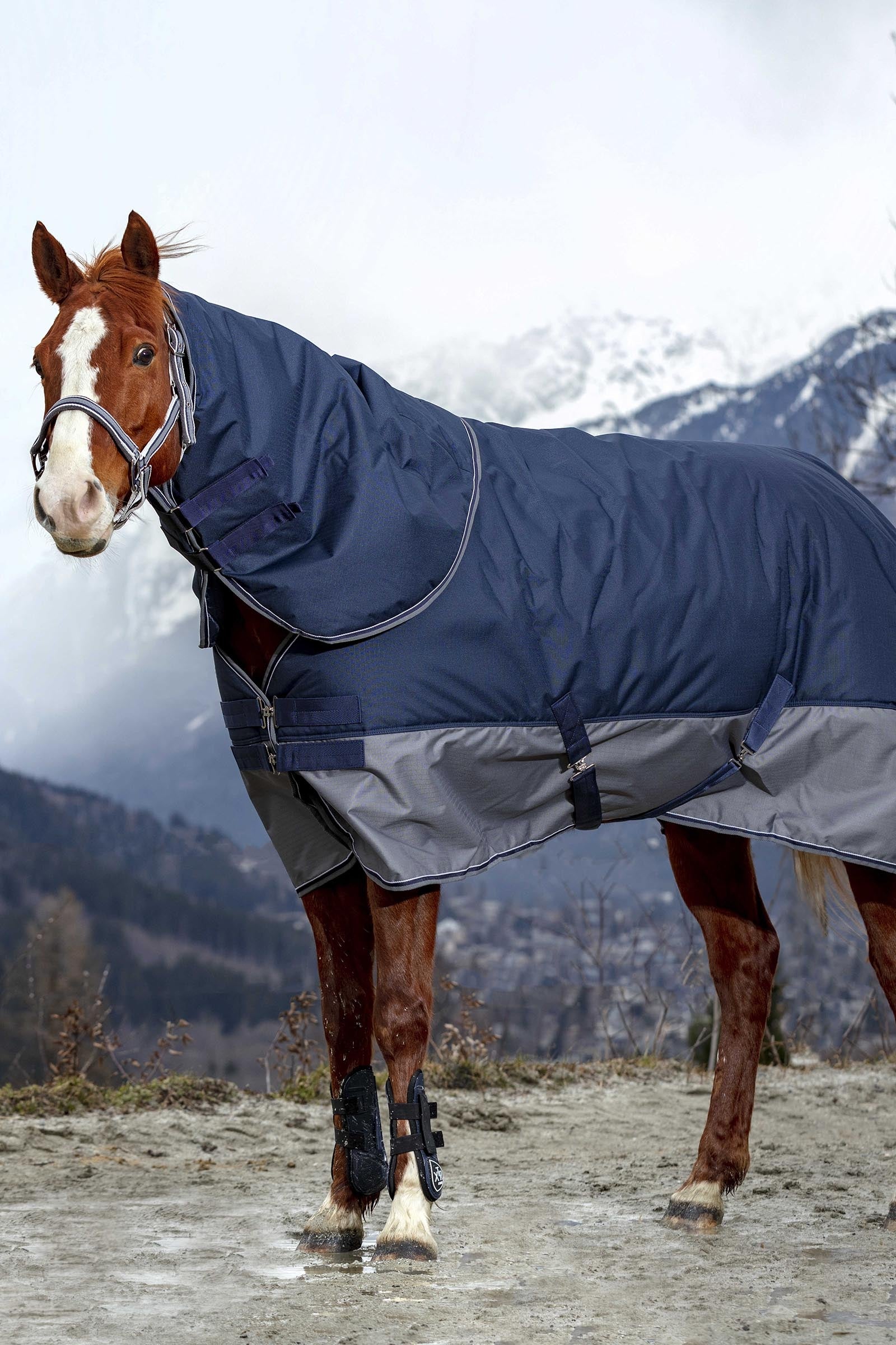 EQUITHÈME TYREX 600D Turnout Rug, 300 g Horse Rugs