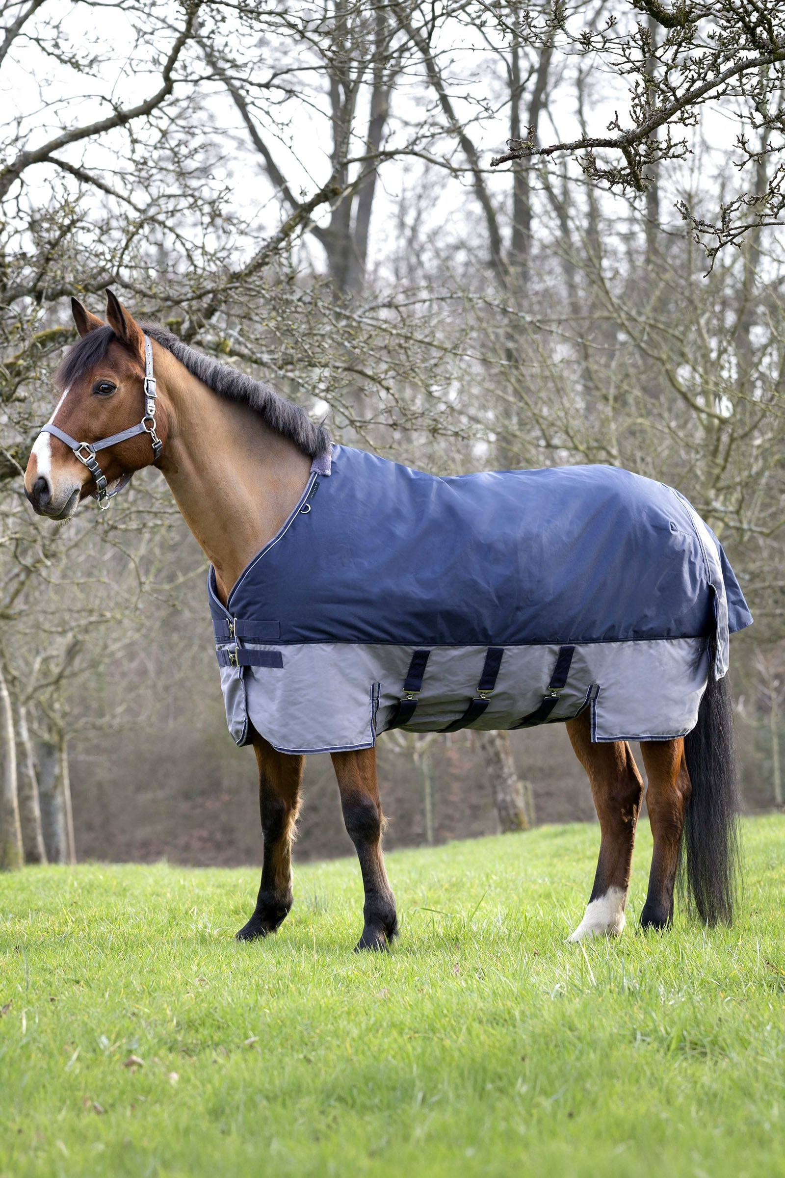 EQUITHÈME TYREX 600D Turnout Rug, 300 g Horse Rugs